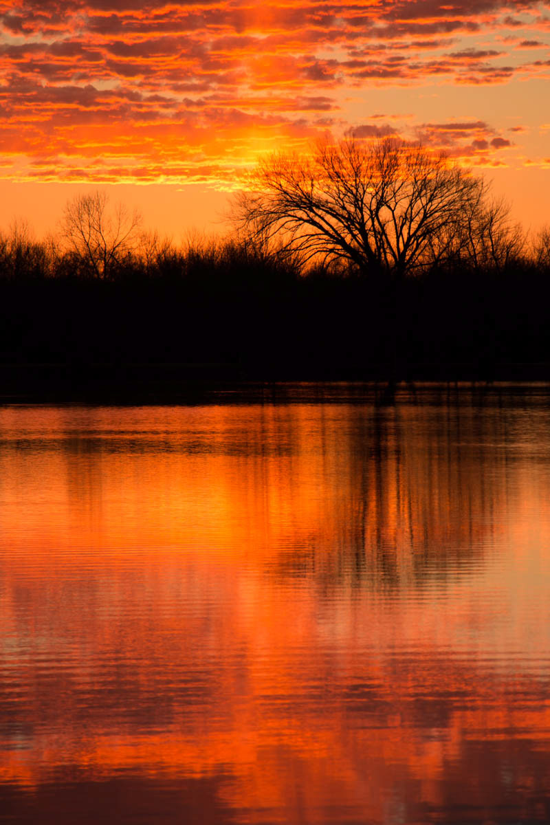 Sunrise 4