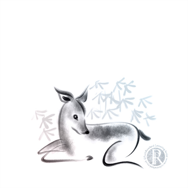 HiddenFawn . Deer Illustration