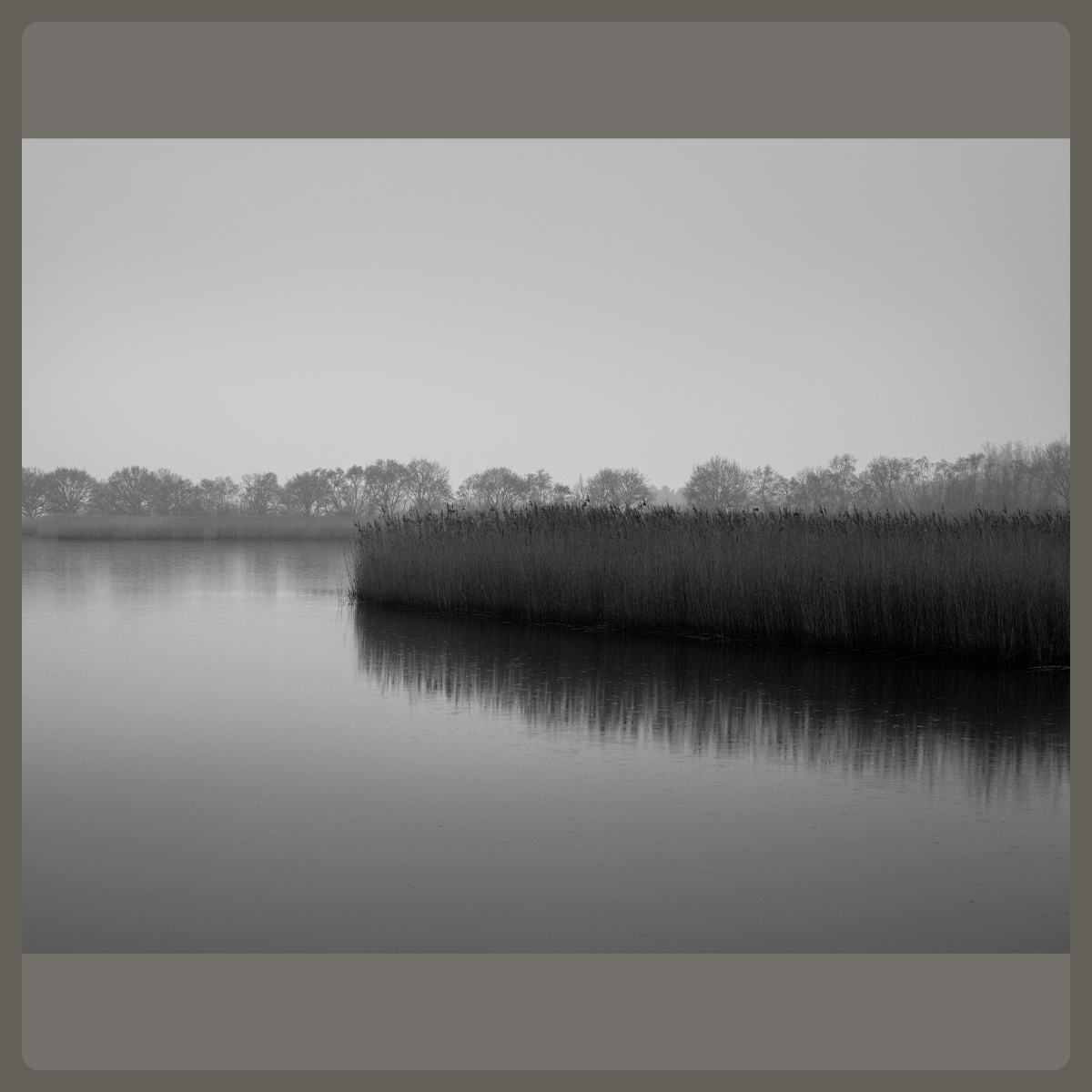 Horsey Mere, Norfolk, UK, Pete Gardner, Photographer, London, UK, © Copyright Pete Gardner