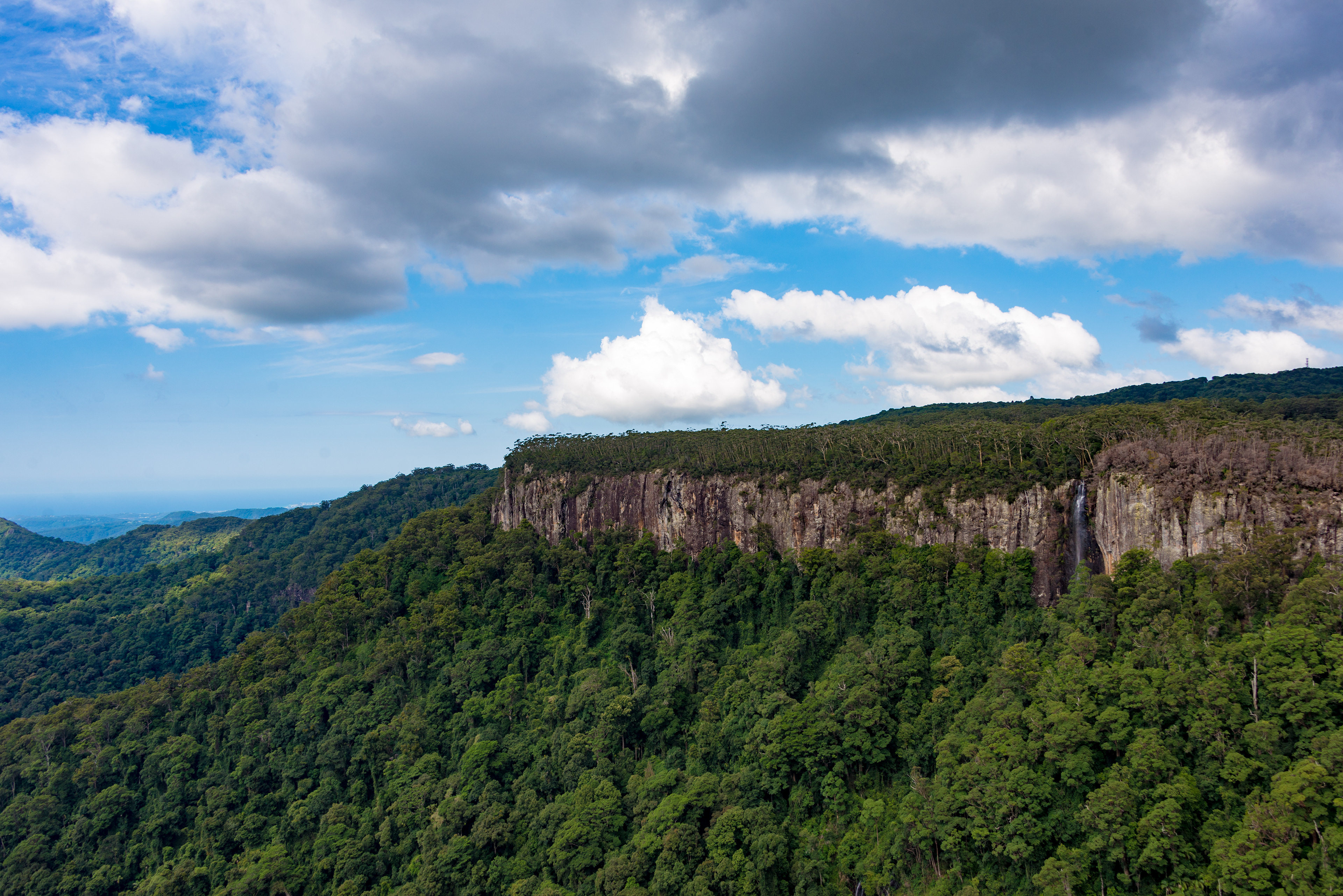 Infinitepx Photography Springbrook National Park