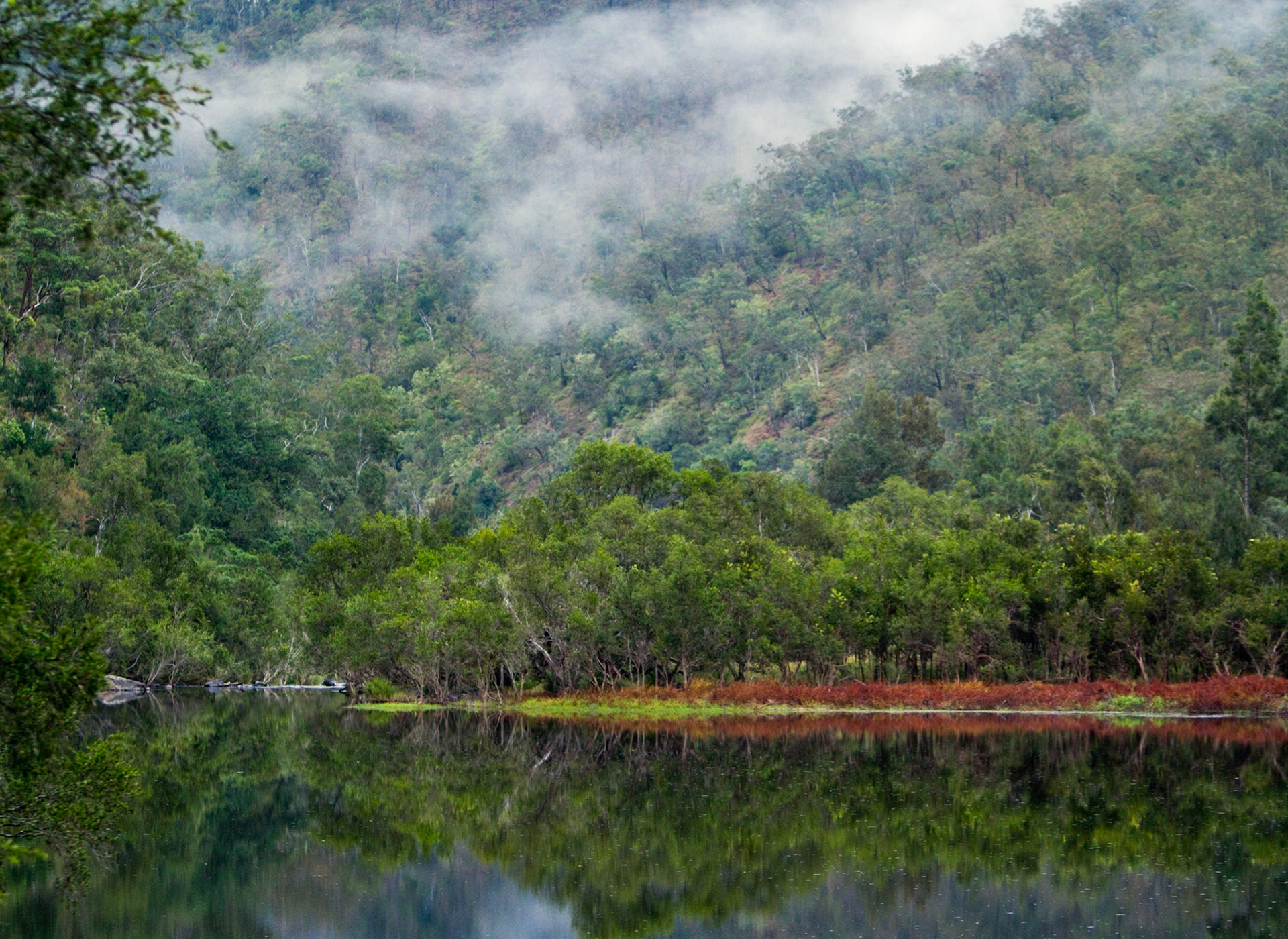 Morning - Clarence River Gorge