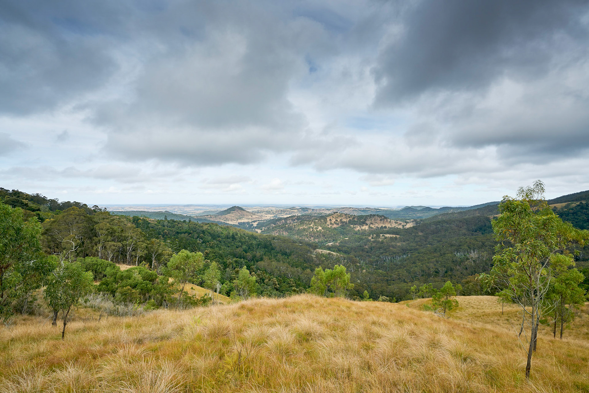 SW View of Darling Downs  from Bunya Mountains