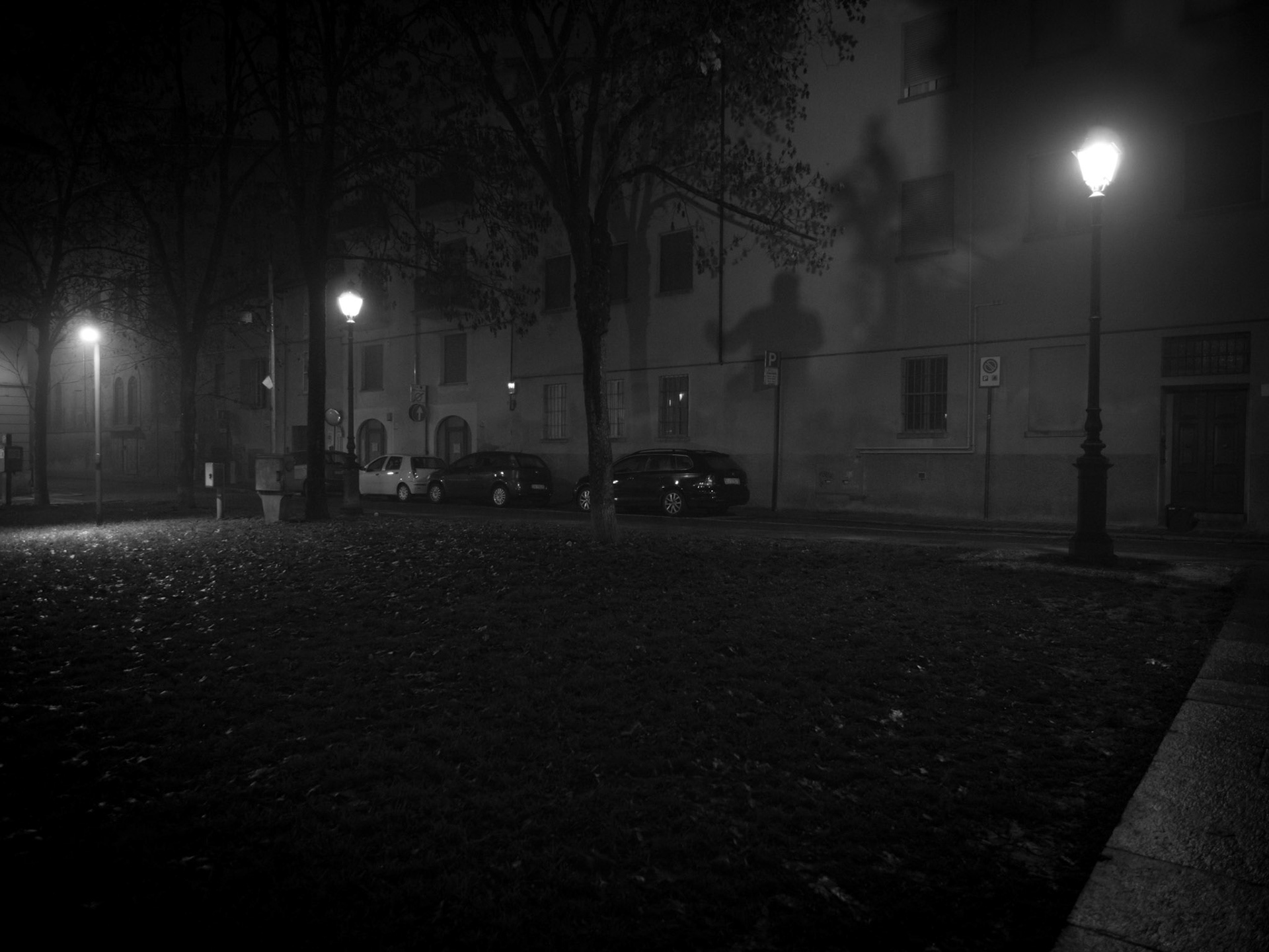 (Parma, New Year's Day 2018)