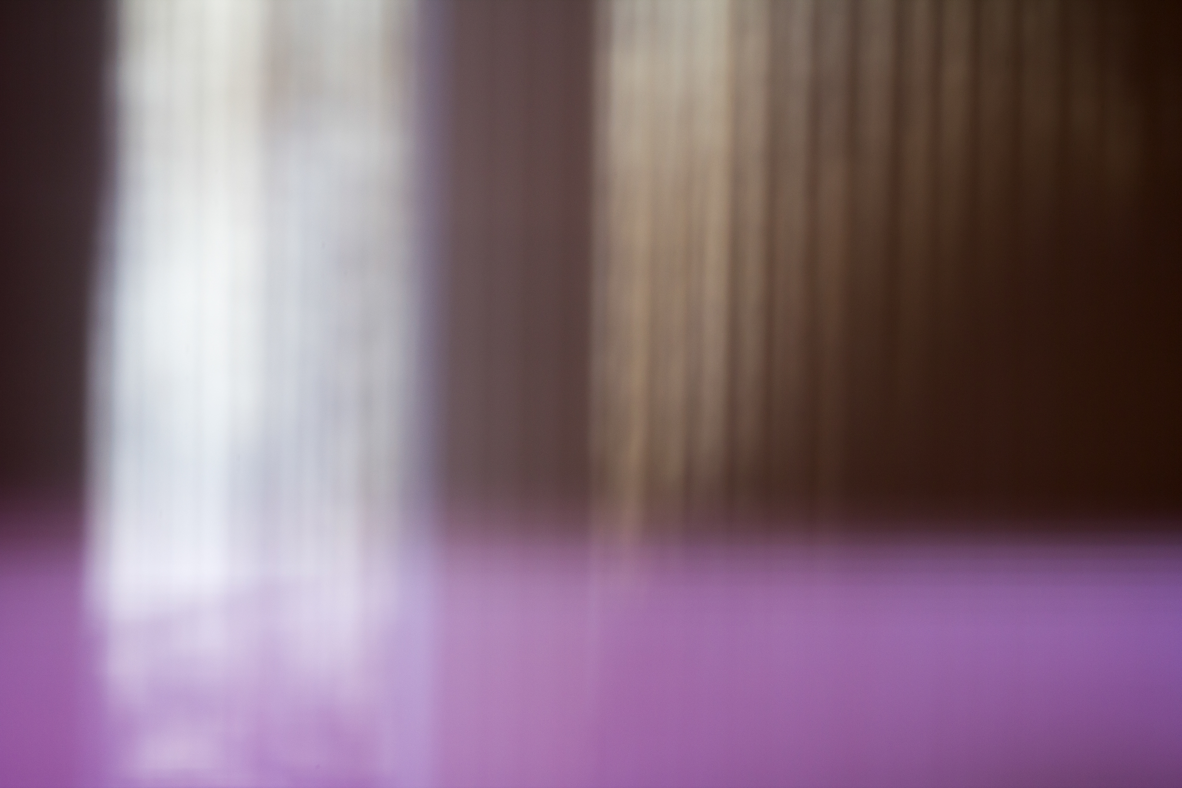 "Lavender, White, Tan, and Brown," 2013, Digital photograph on canvas
