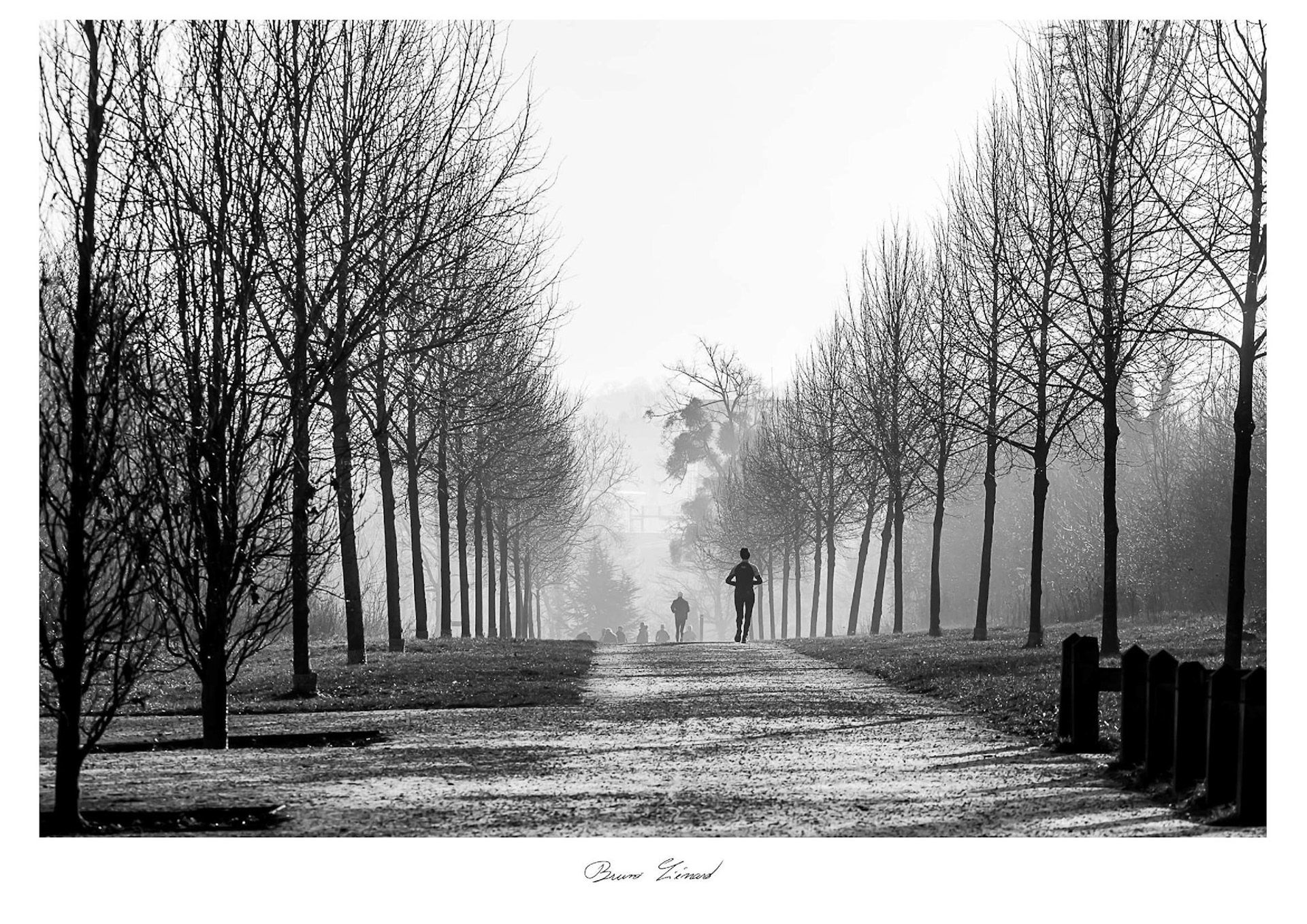 Parc de Brabois à Villers-lès-Nancy (54)