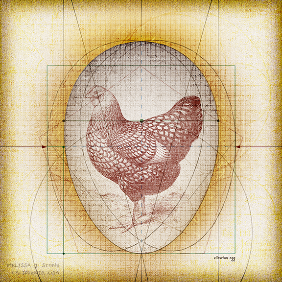 "Vitruvian Egg"