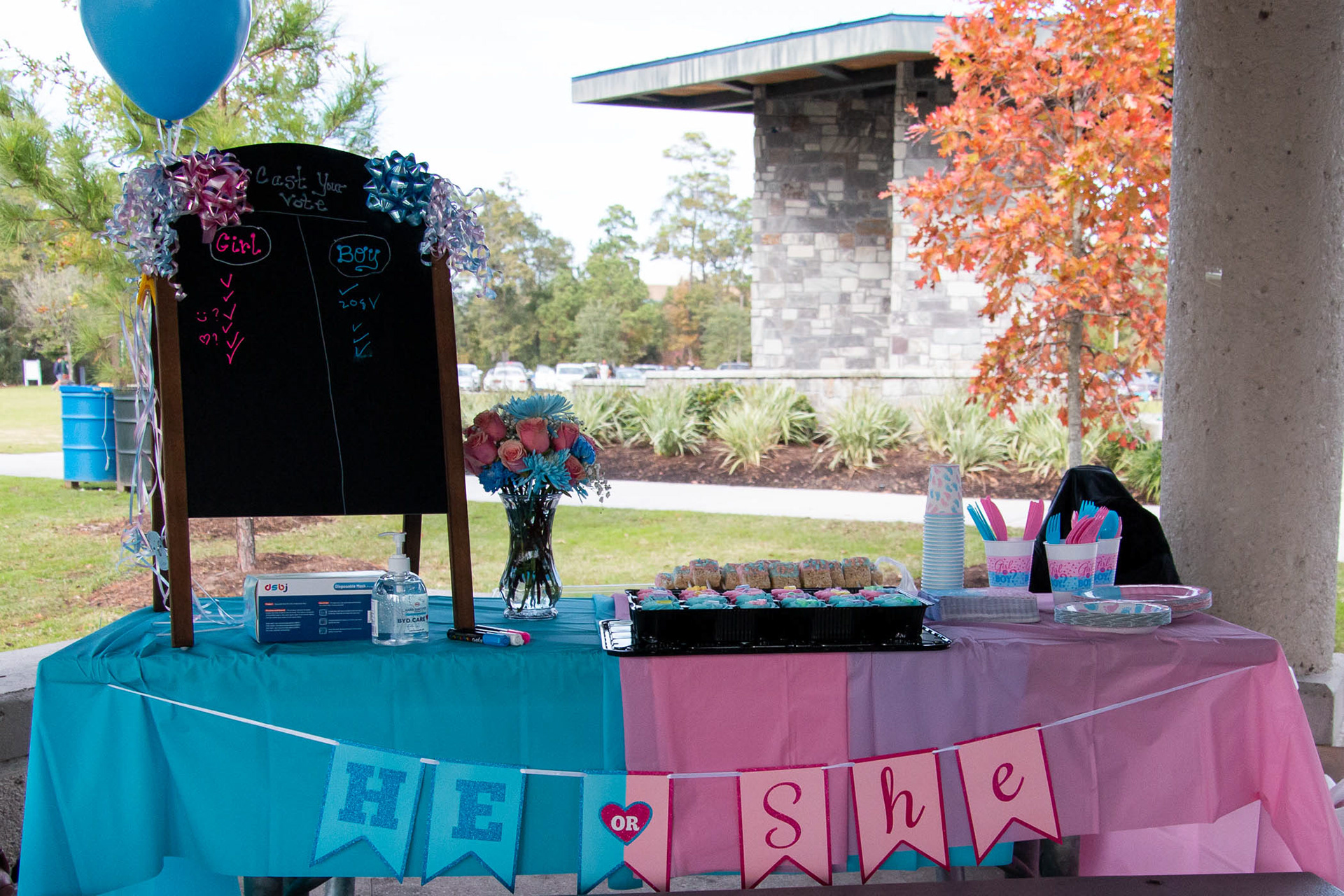 Rafael + Elise Gender Reveal | The Woodlands, TX