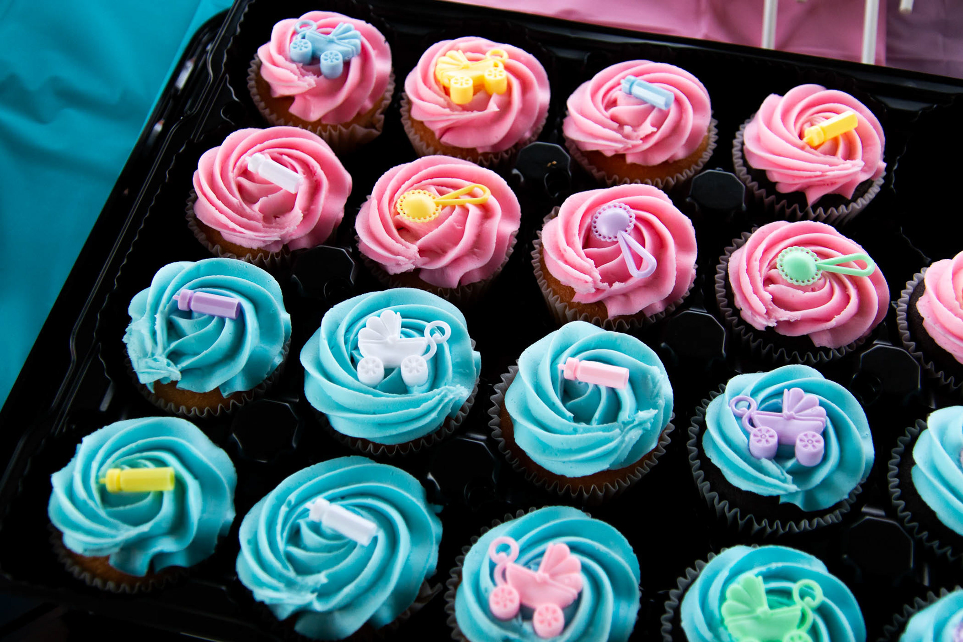 Rafael + Elise Gender Reveal | The Woodlands, TX