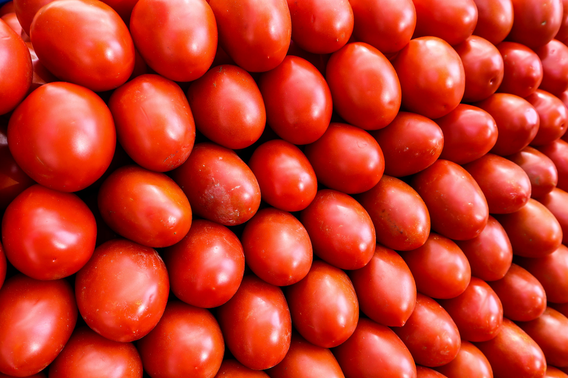 Wall of Tomatoes at the Market