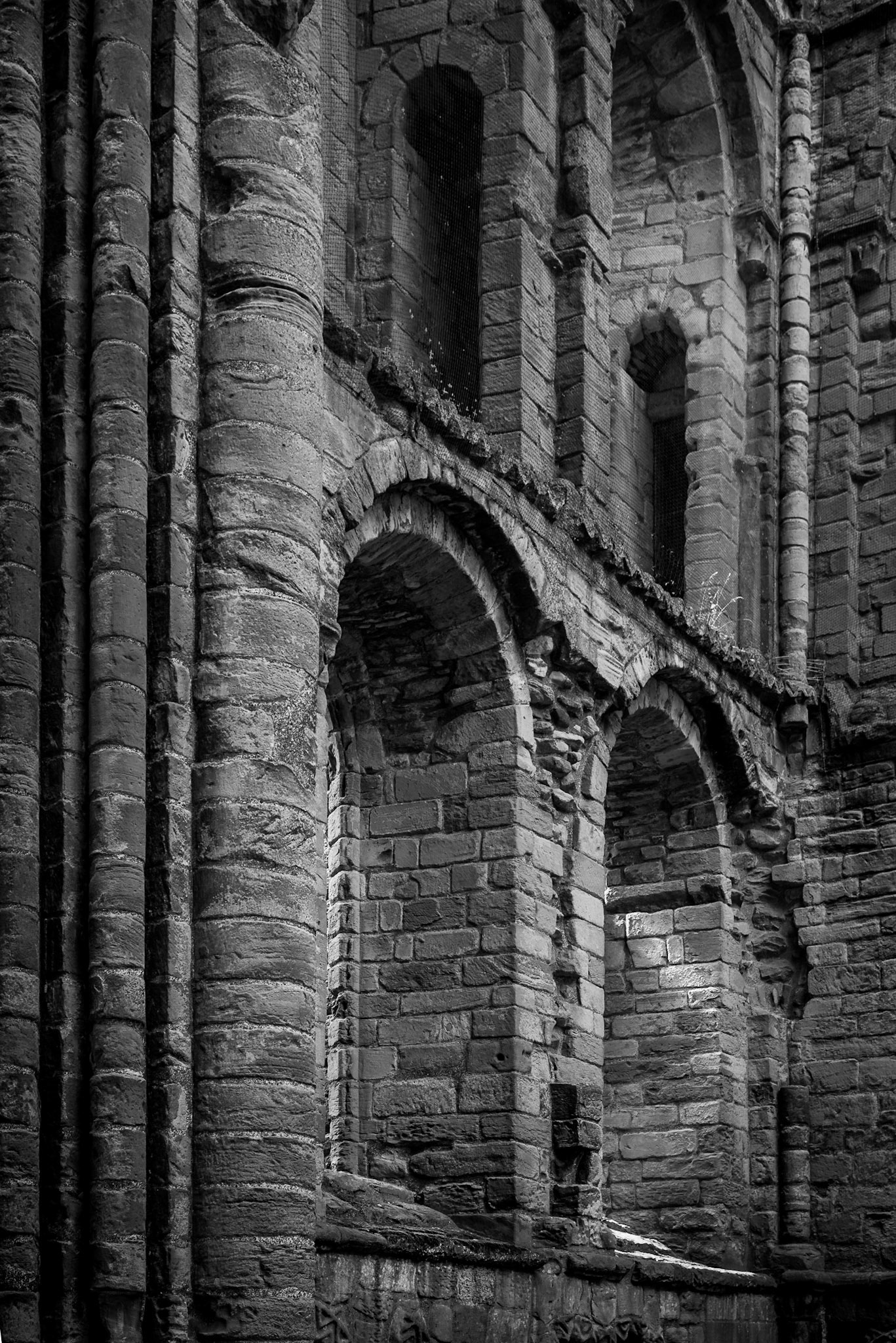 Kelso Abbey, 2019