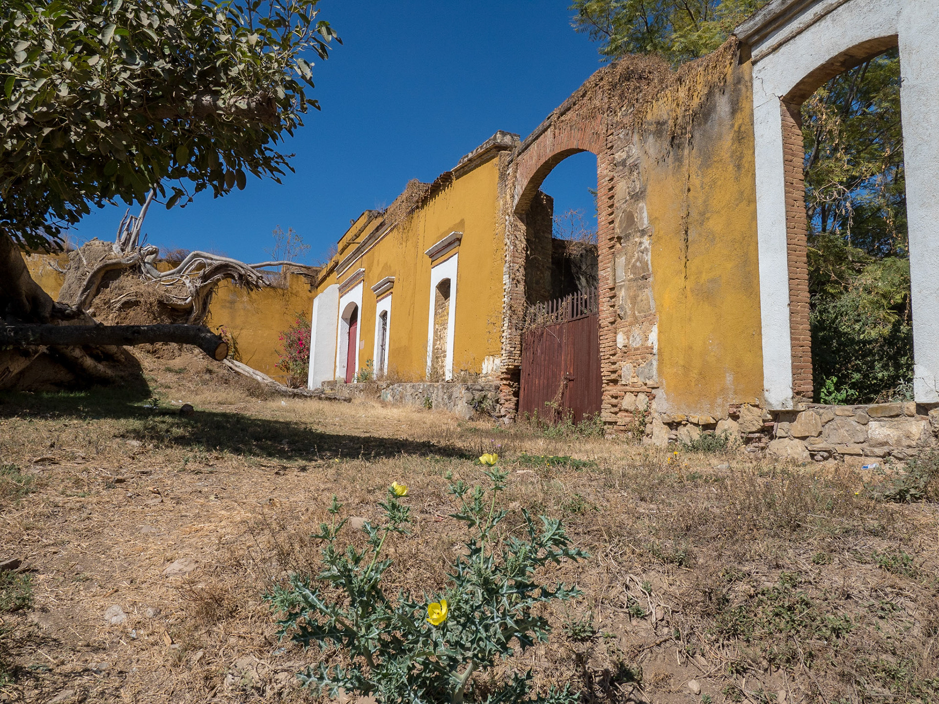 Oaxaca, Mexico