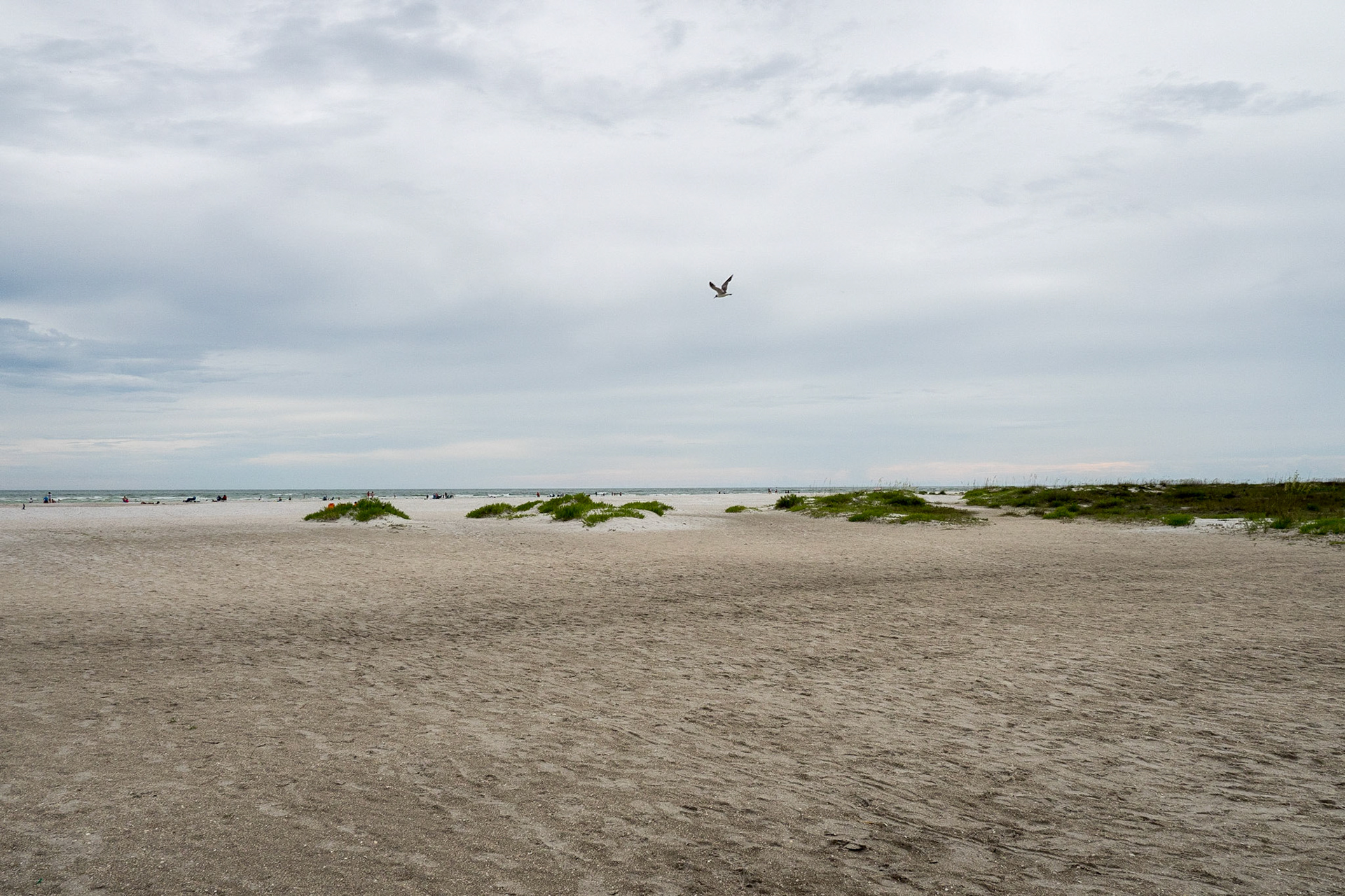 Sarasota, Florida, USA