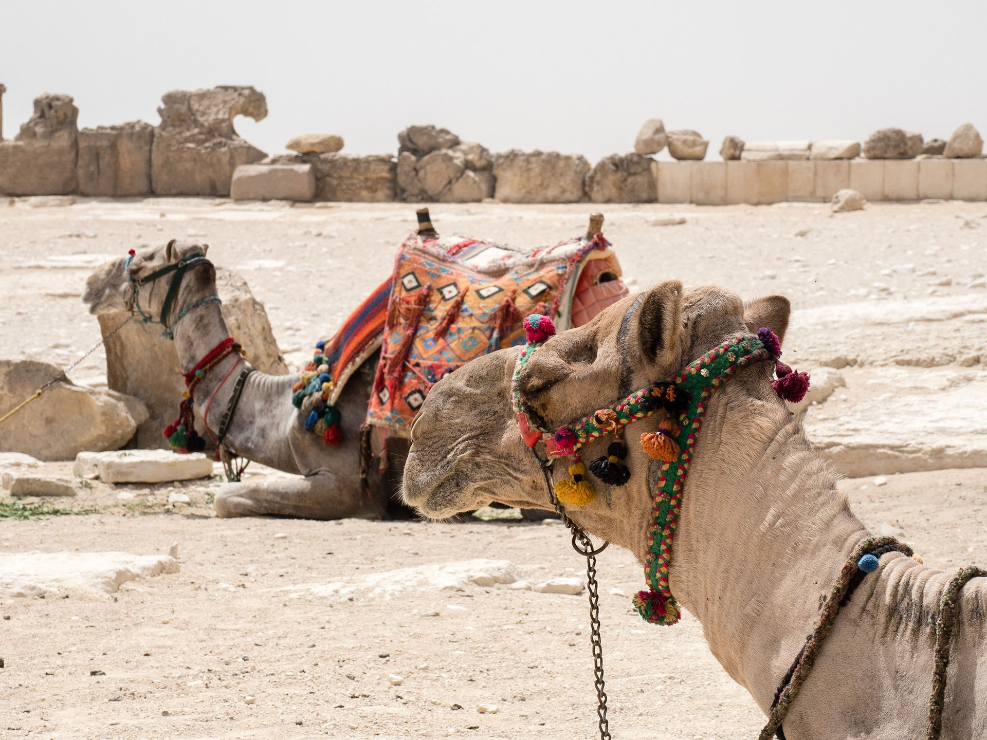 Cairo, Egypt