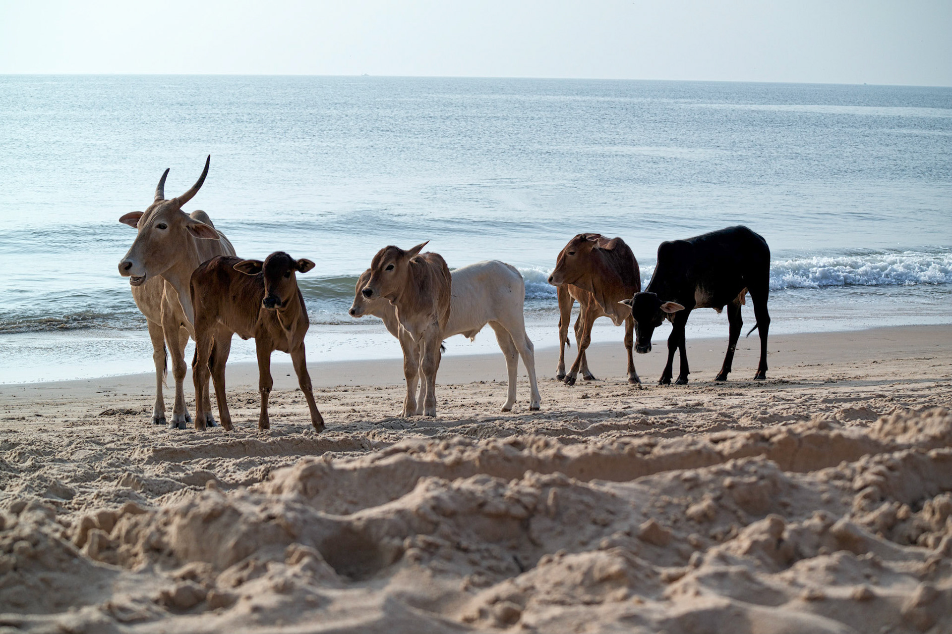 Goa, India