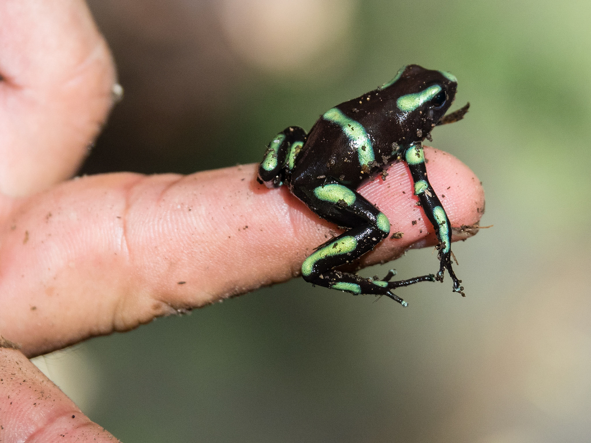 Costa Rica