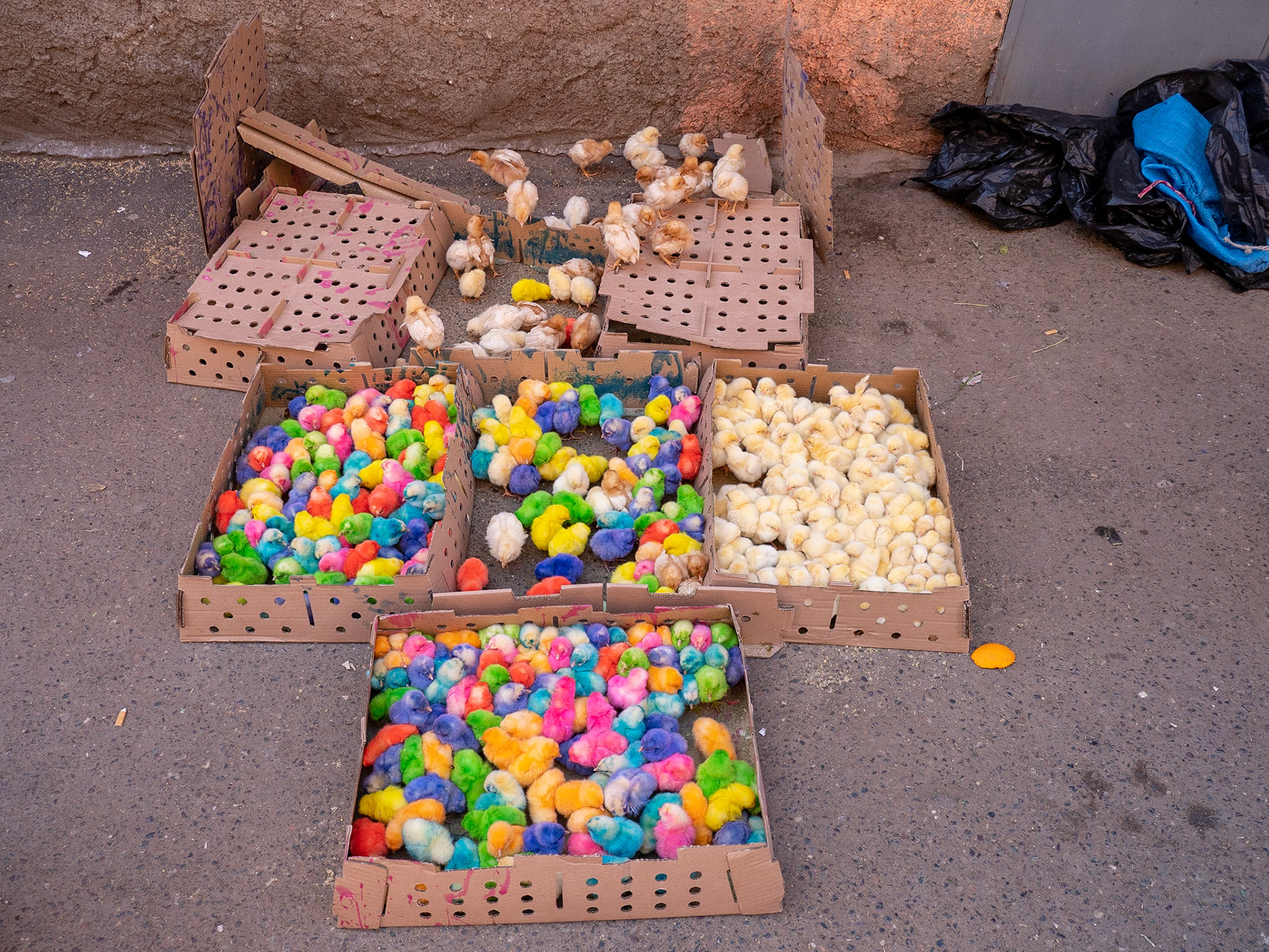 Marrakech, Morocco
