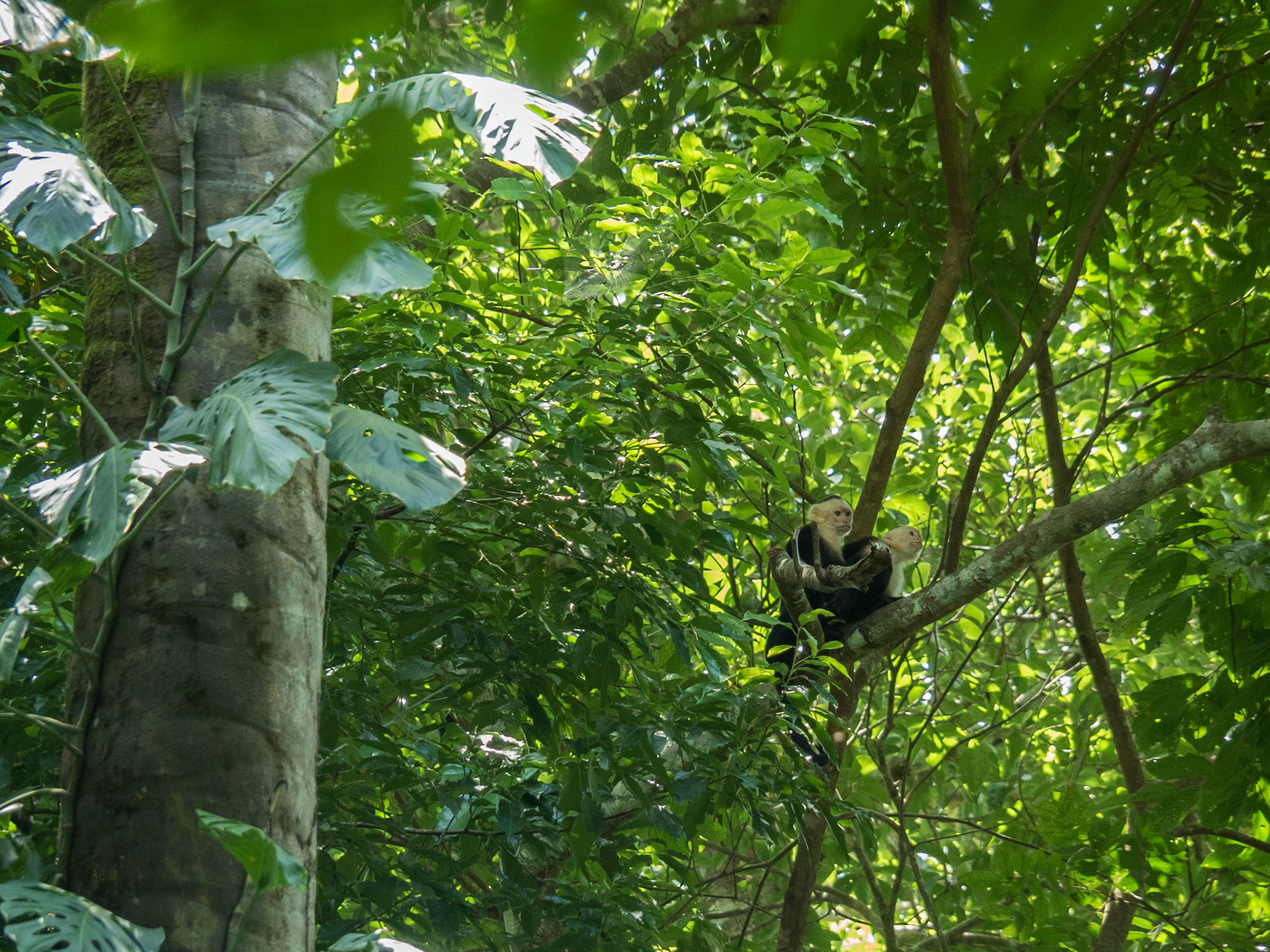 Costa Rica