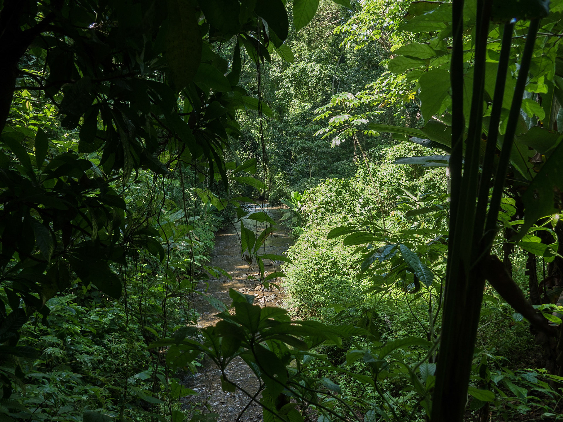 Costa Rica
