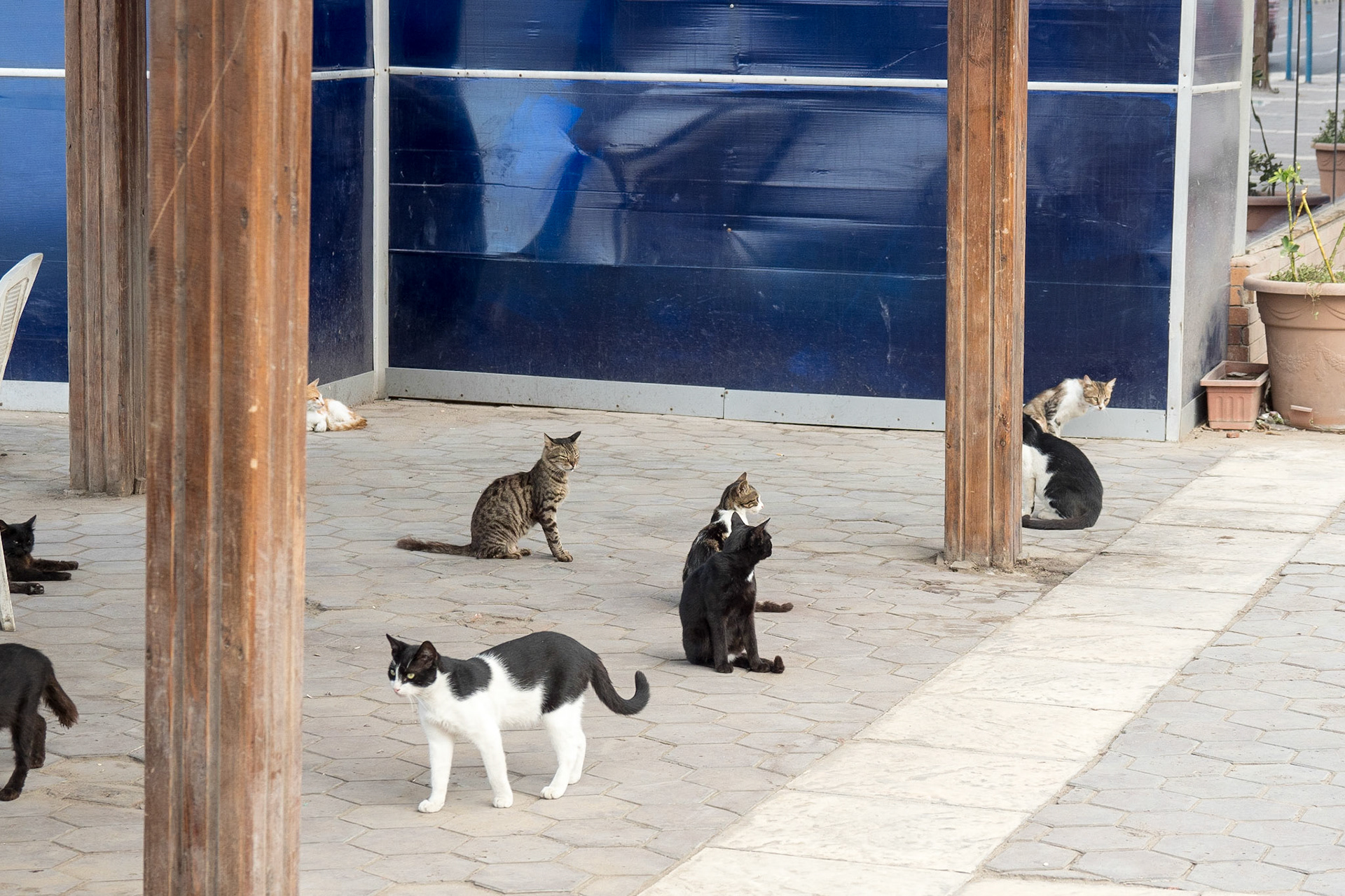 Alexandria, Egypt