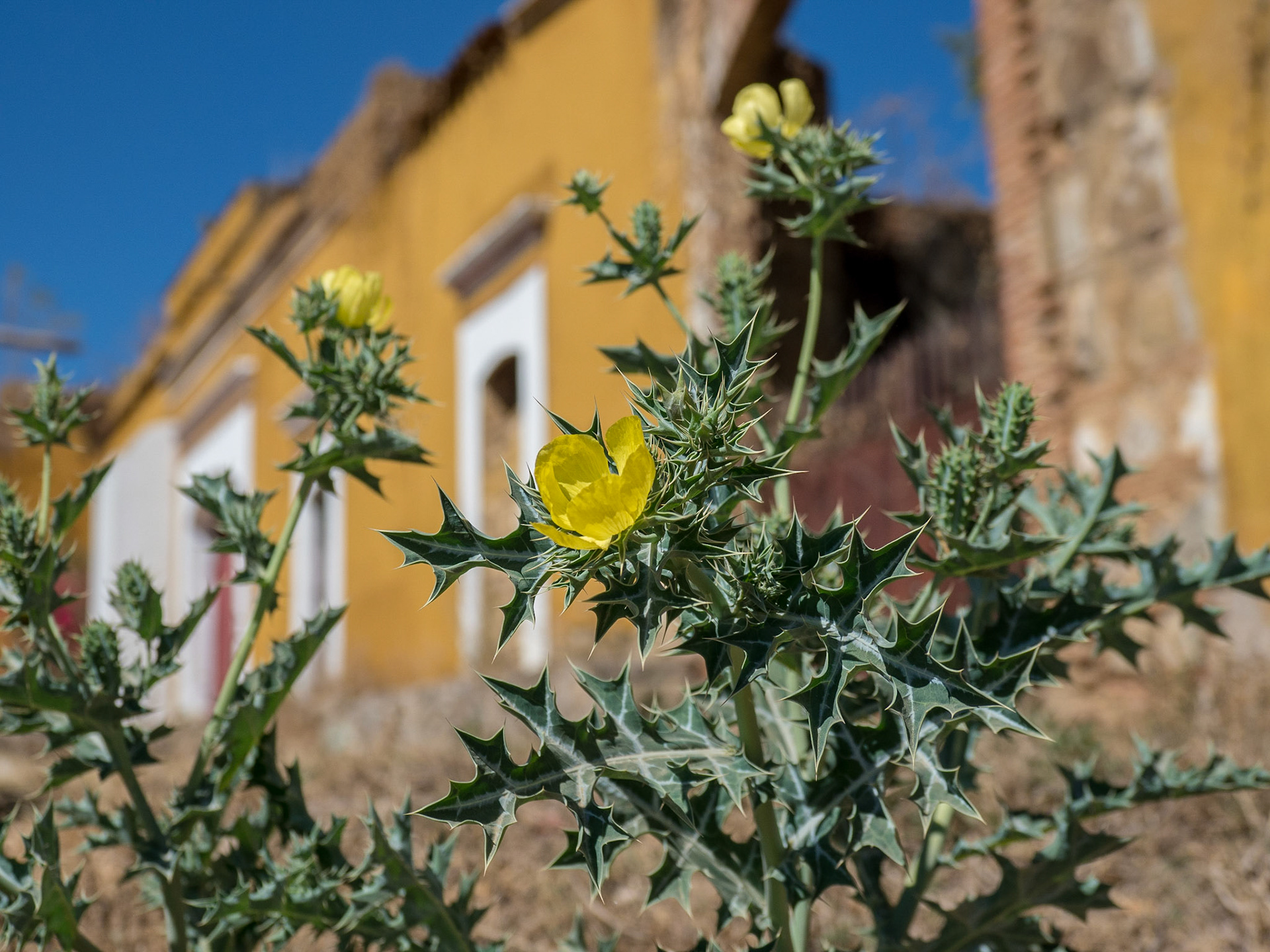 Oaxaca, Mexico