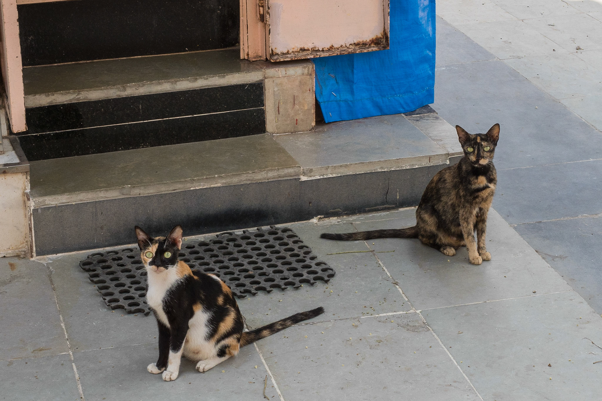 Mumbai, India