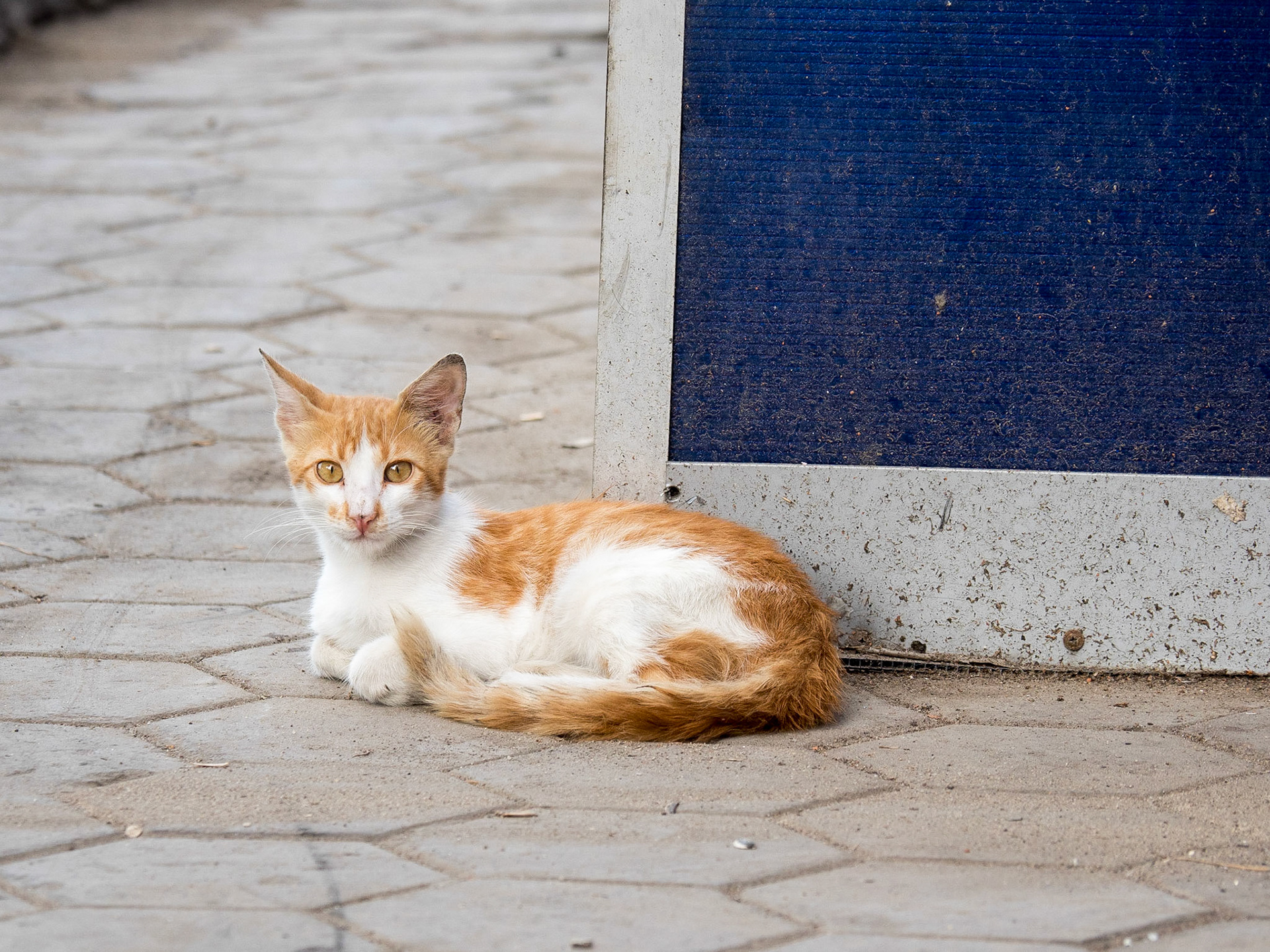Alexandria, Egypt