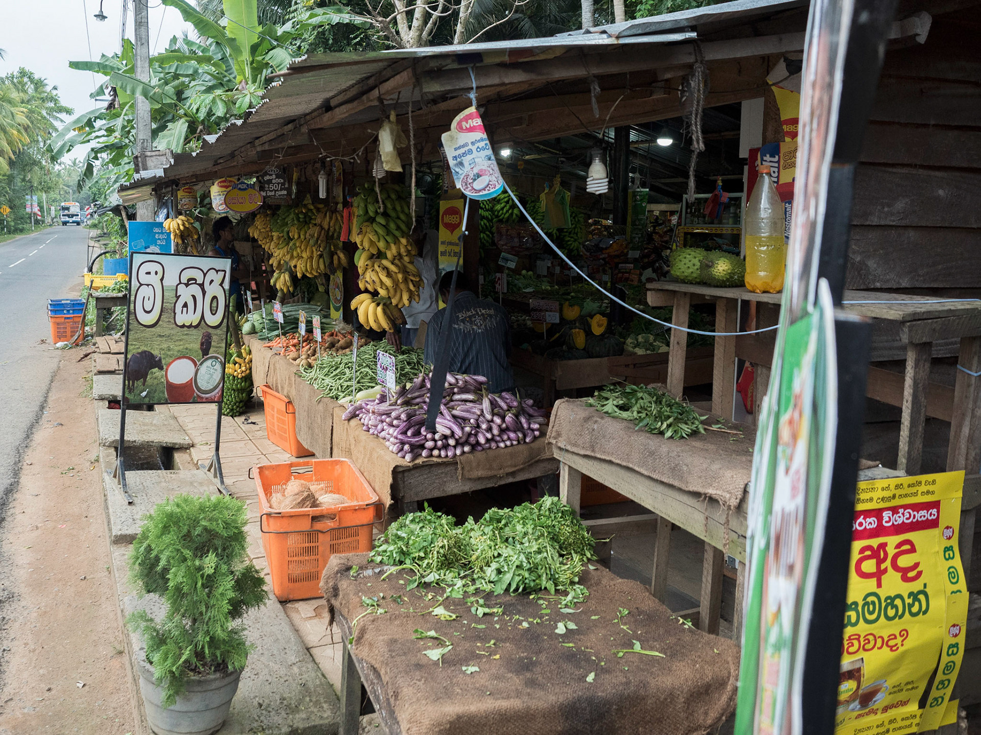 Bentota, Sri Lanka
