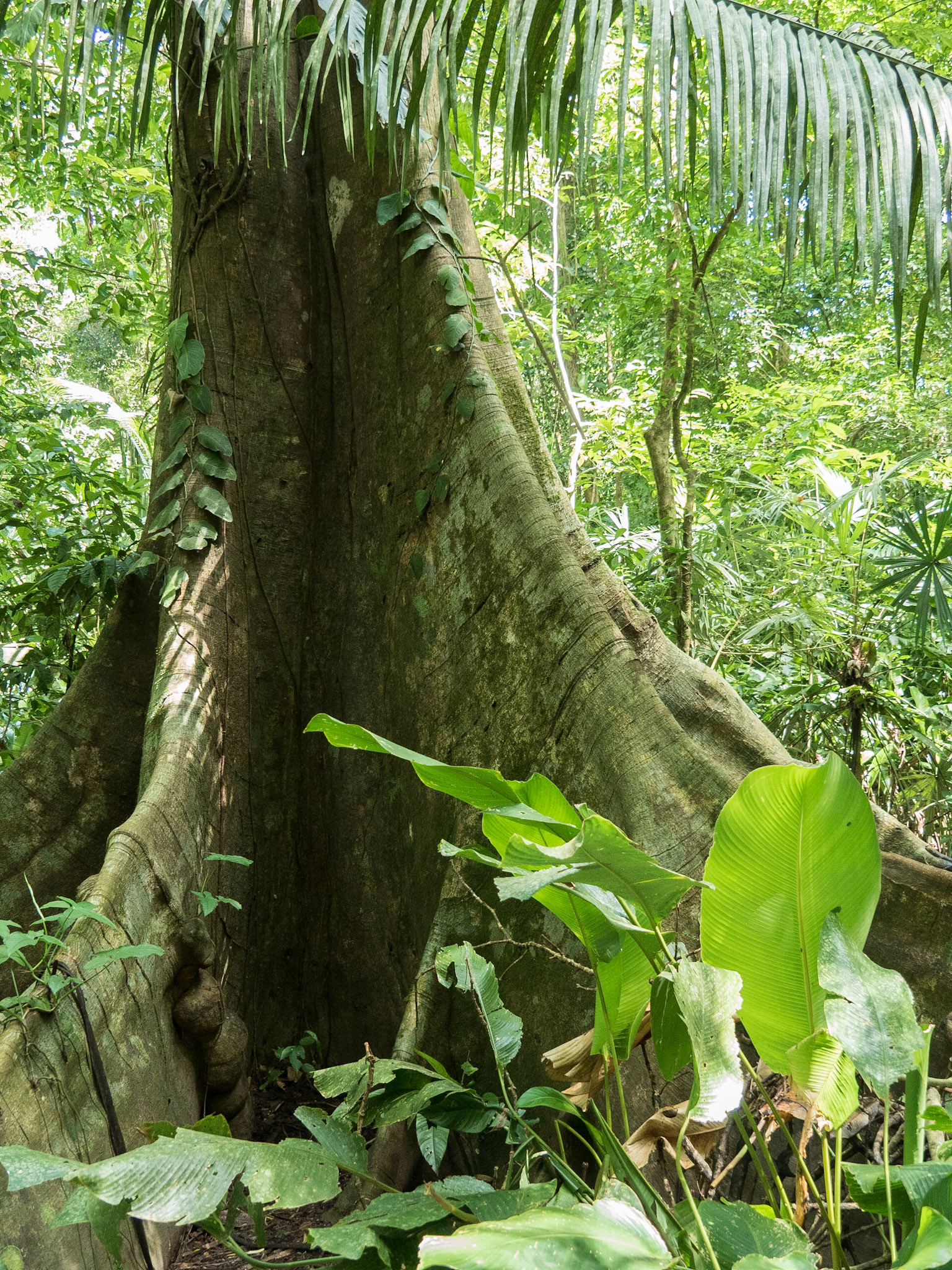 Costa Rica