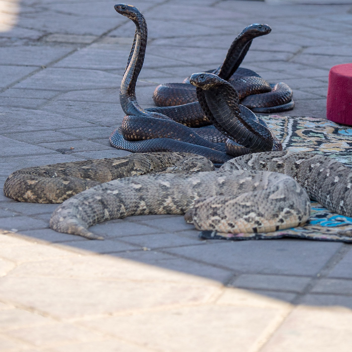Marrakech, Morocco