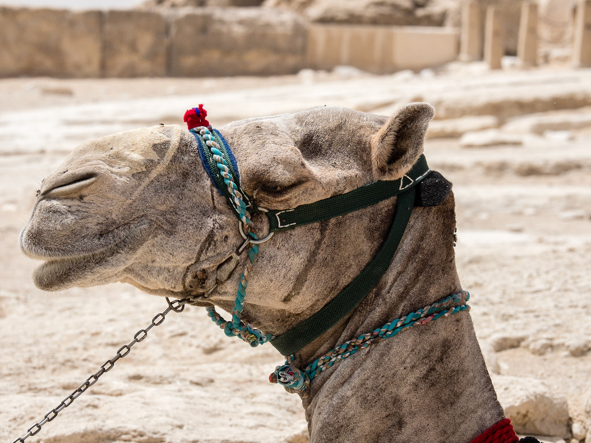 Cairo, Egypt