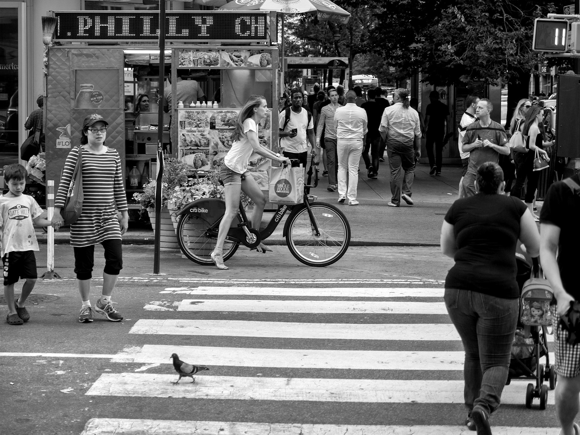 New York City, NY, USA
