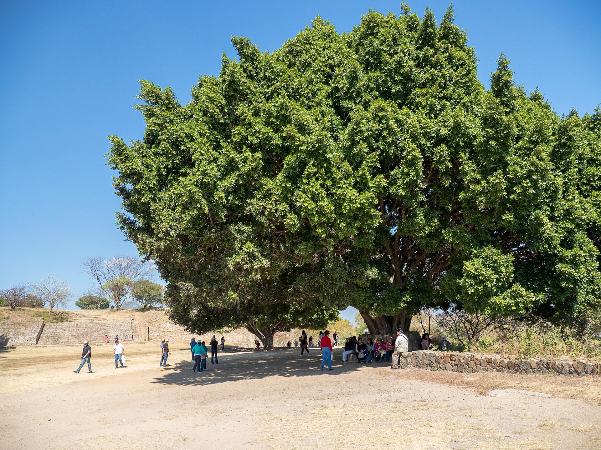 Oaxaca, Mexico