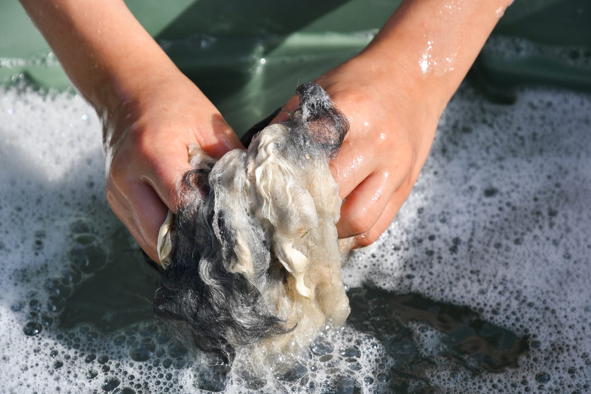 Washing the wool 2