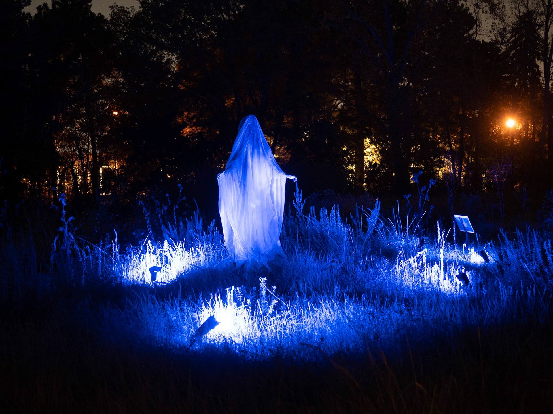 Glow at the Gardens 2020