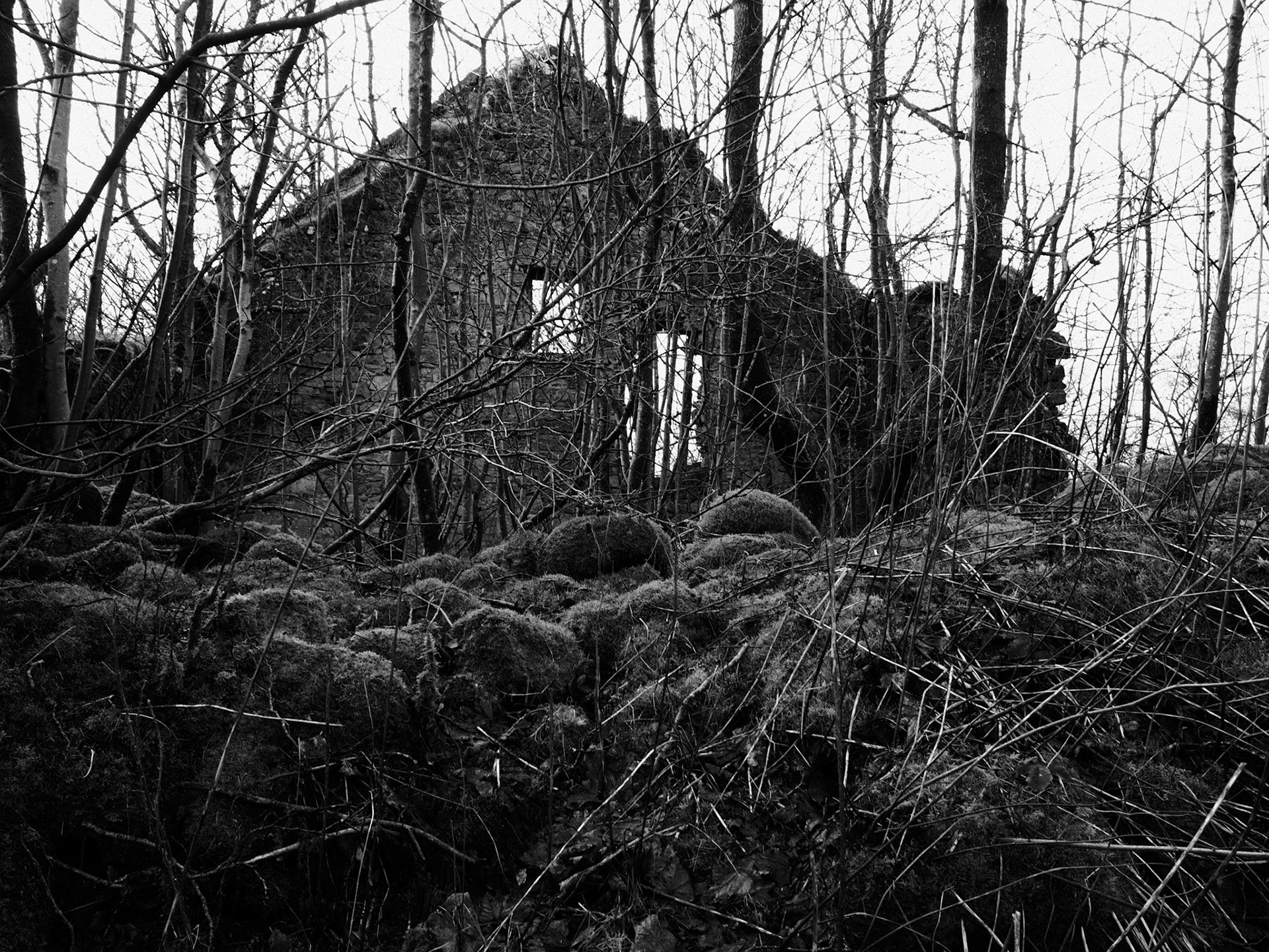 Allanton - Dura Kirk - Ruin