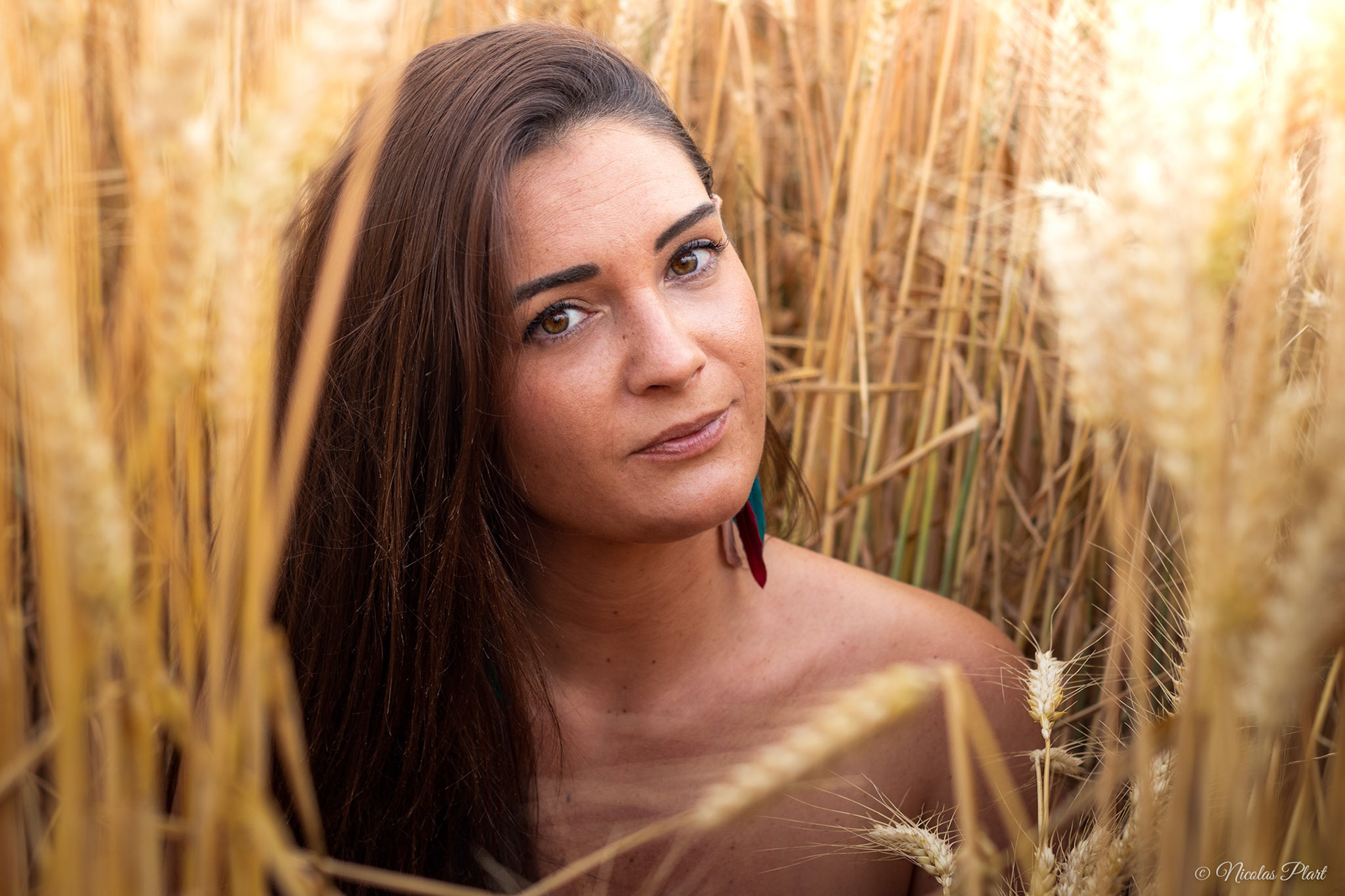 indienne, gitane, blé