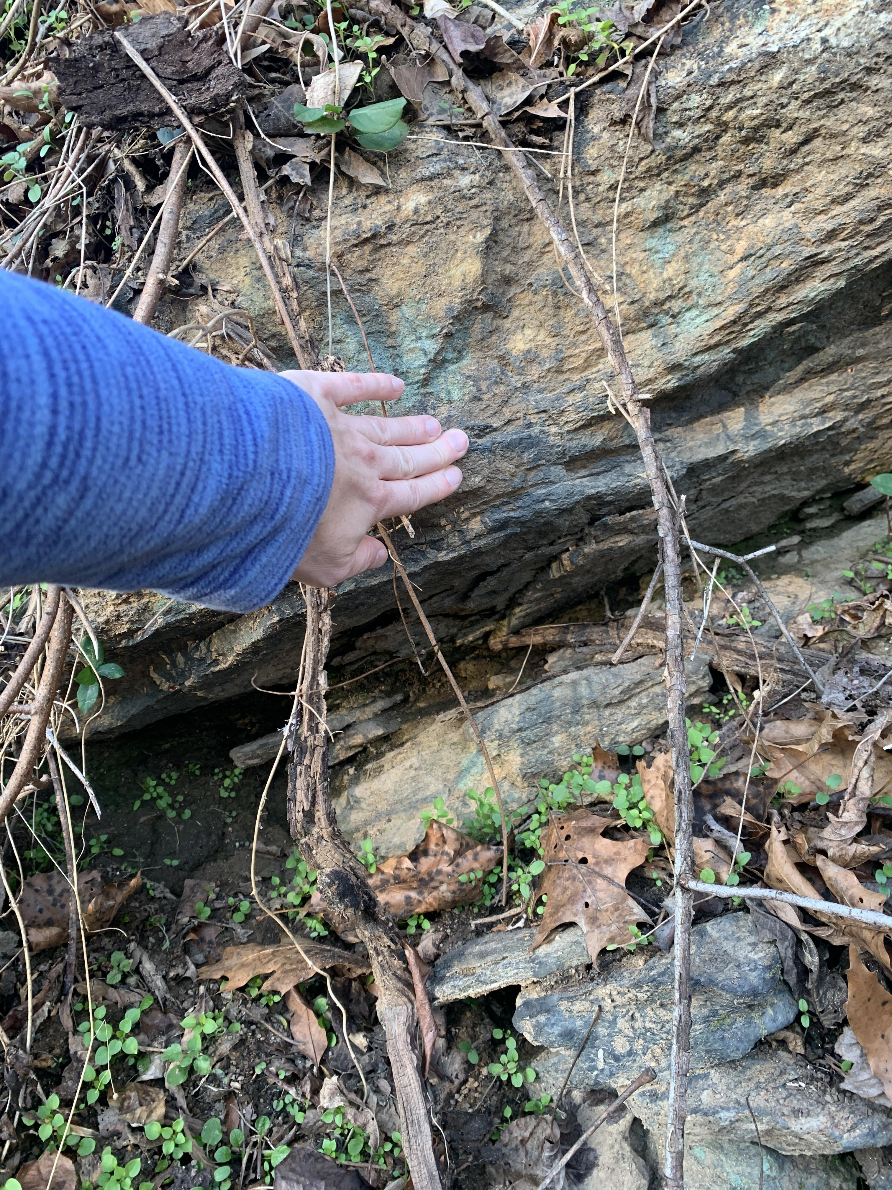 Hand points to rock outcrop that has dirty layers breaking off in thin planar chunks. Layering is thin and slightly wavy. Mineral details are not visible in this image.