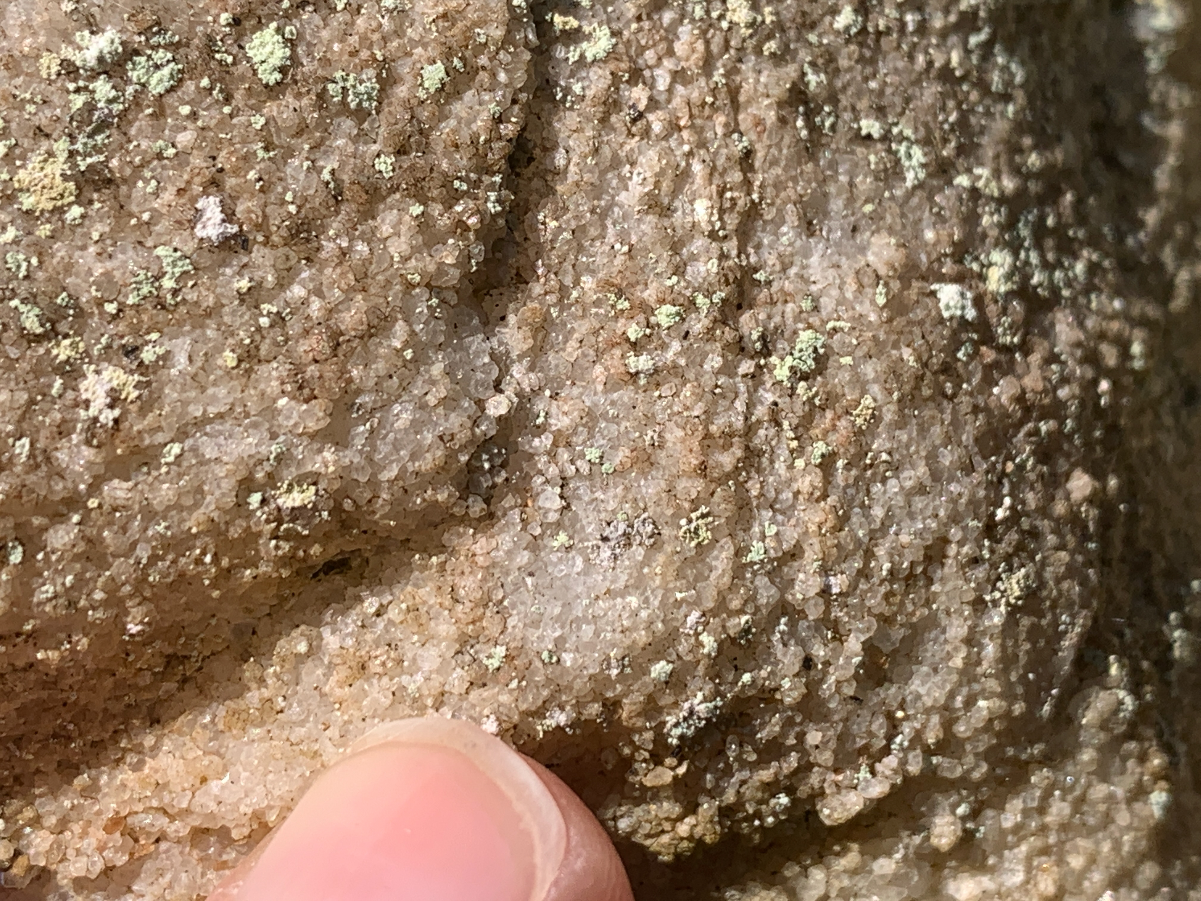 A close up of the rock with a finger pointing to small, sand-sized grains in the rock. These grains appear clear with some tan-colored discoloration from weathering. Lichen covers part of the rock.