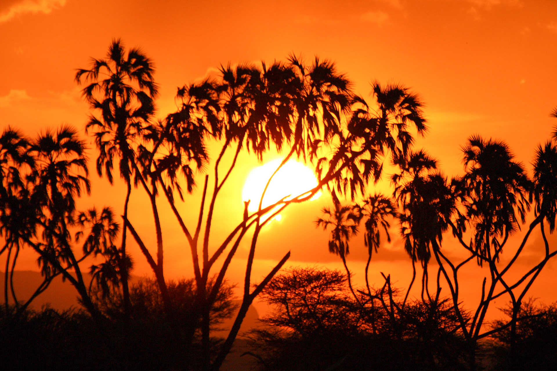 Sunset in Samburu
