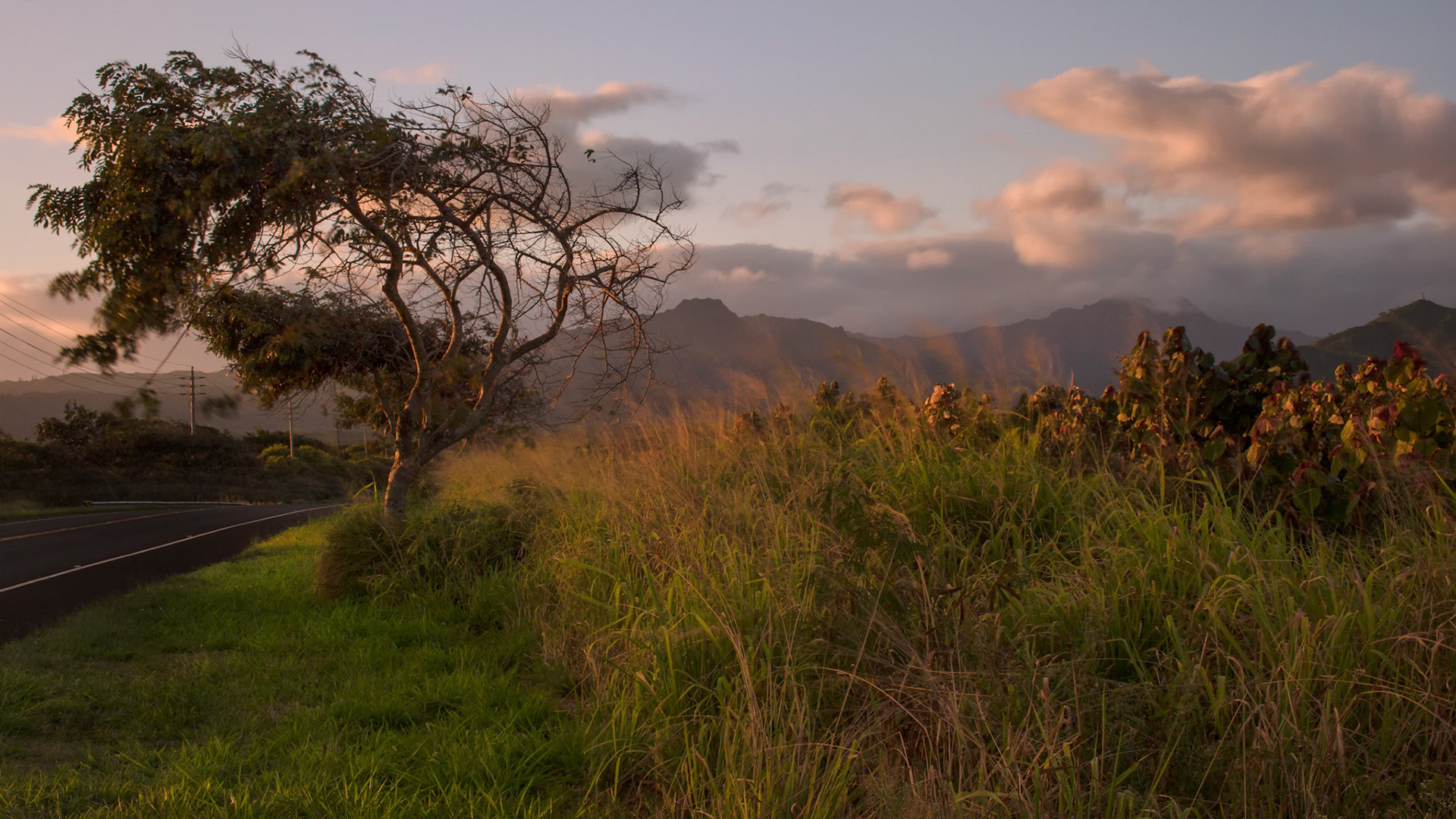 Koloa Sunset