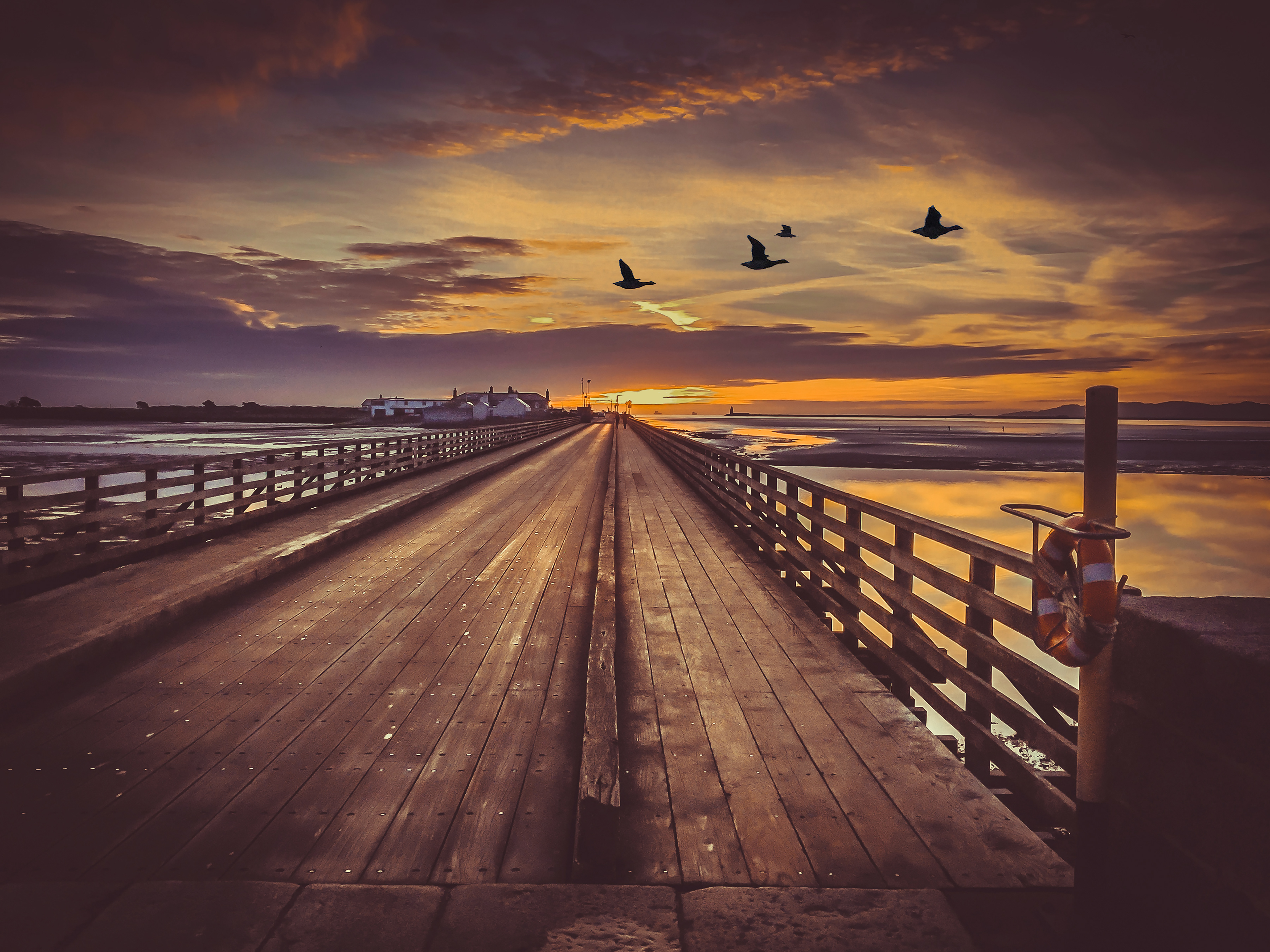 Fly Over - Wooden Bridge
