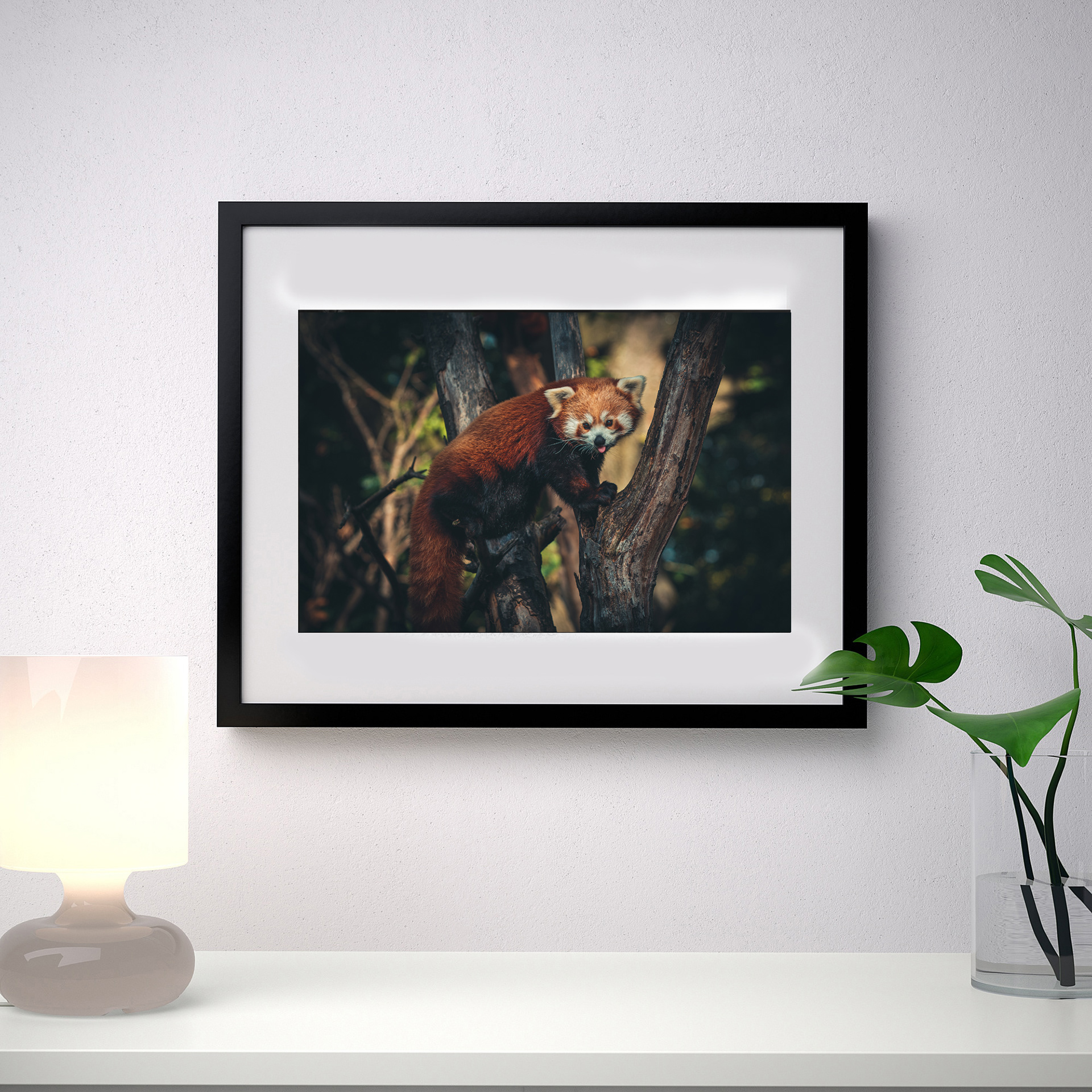 12 x 8 print / 16 x 12 frame €65