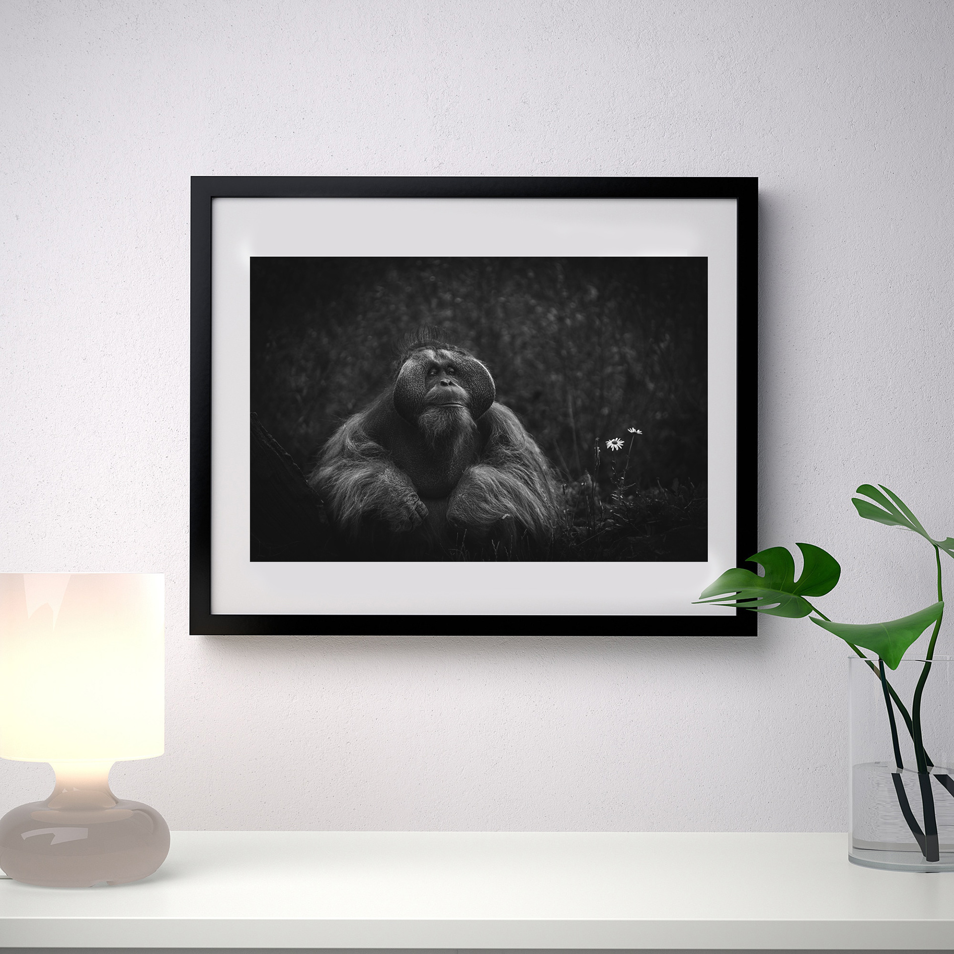 12 x 8 print / 16 x 12 frame €65