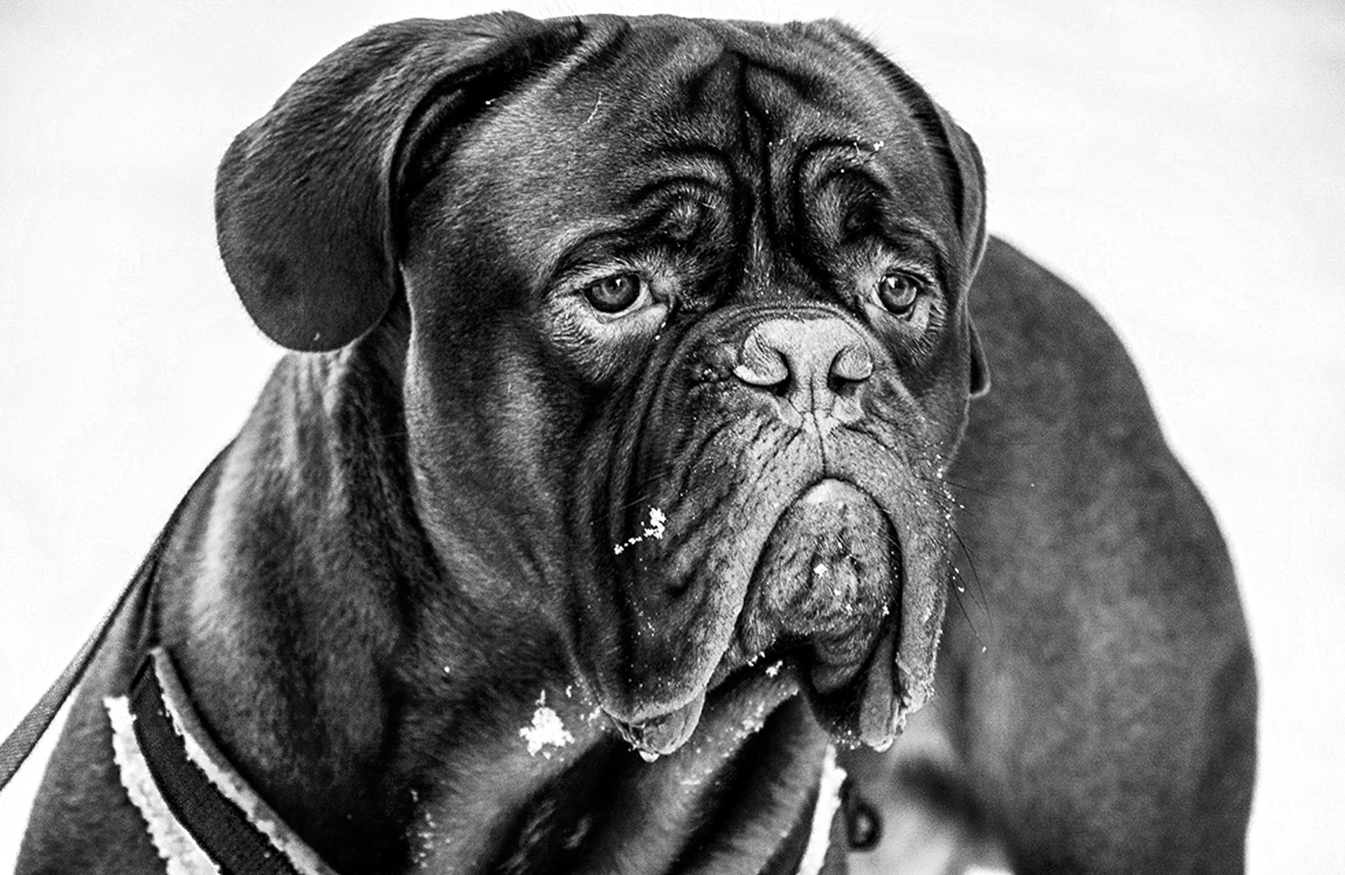 Foto: Steven A. Goodwin KB20180109 SvartHvittMonokrom