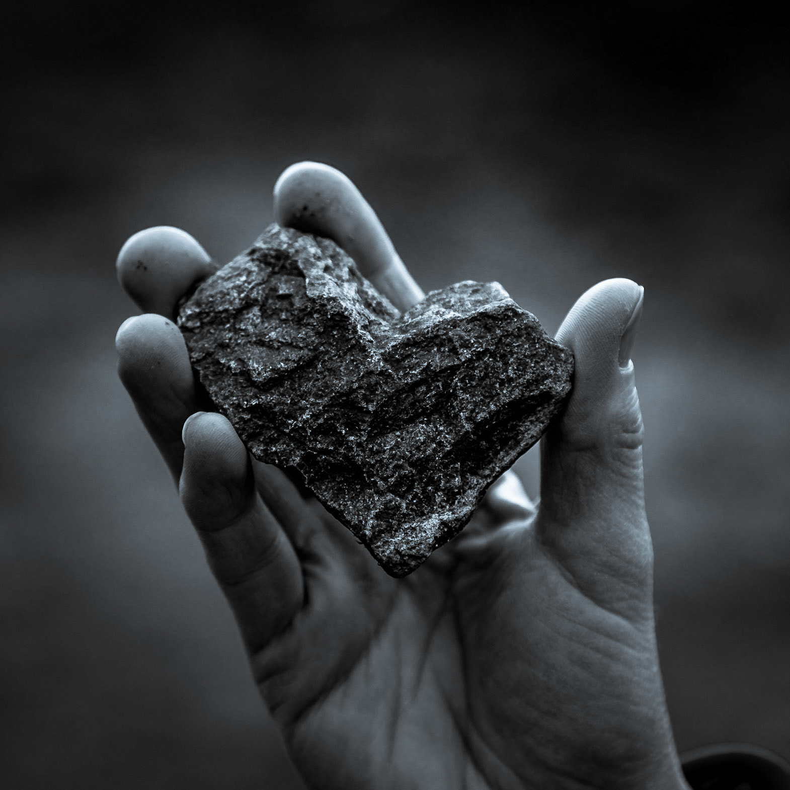Even the rocks loves the Norwegian nature