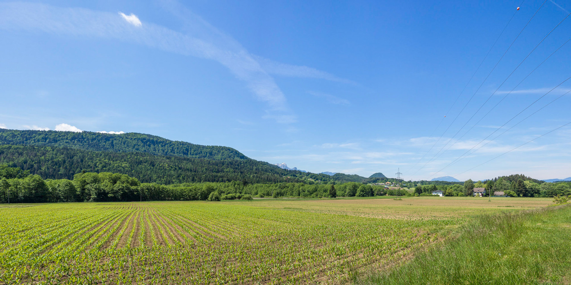 Lead me to the mountains