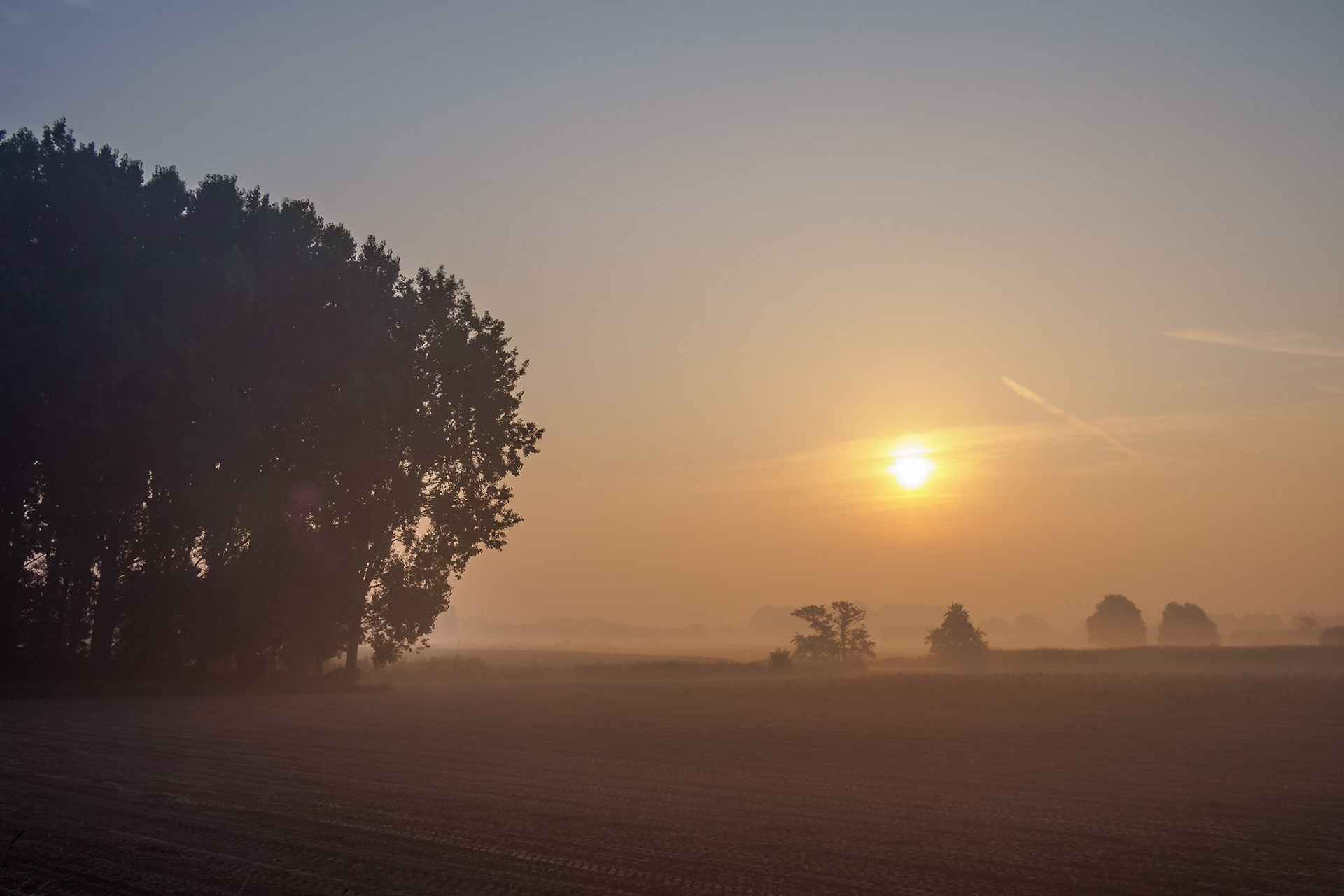 Sunrise on a misty morning IV
