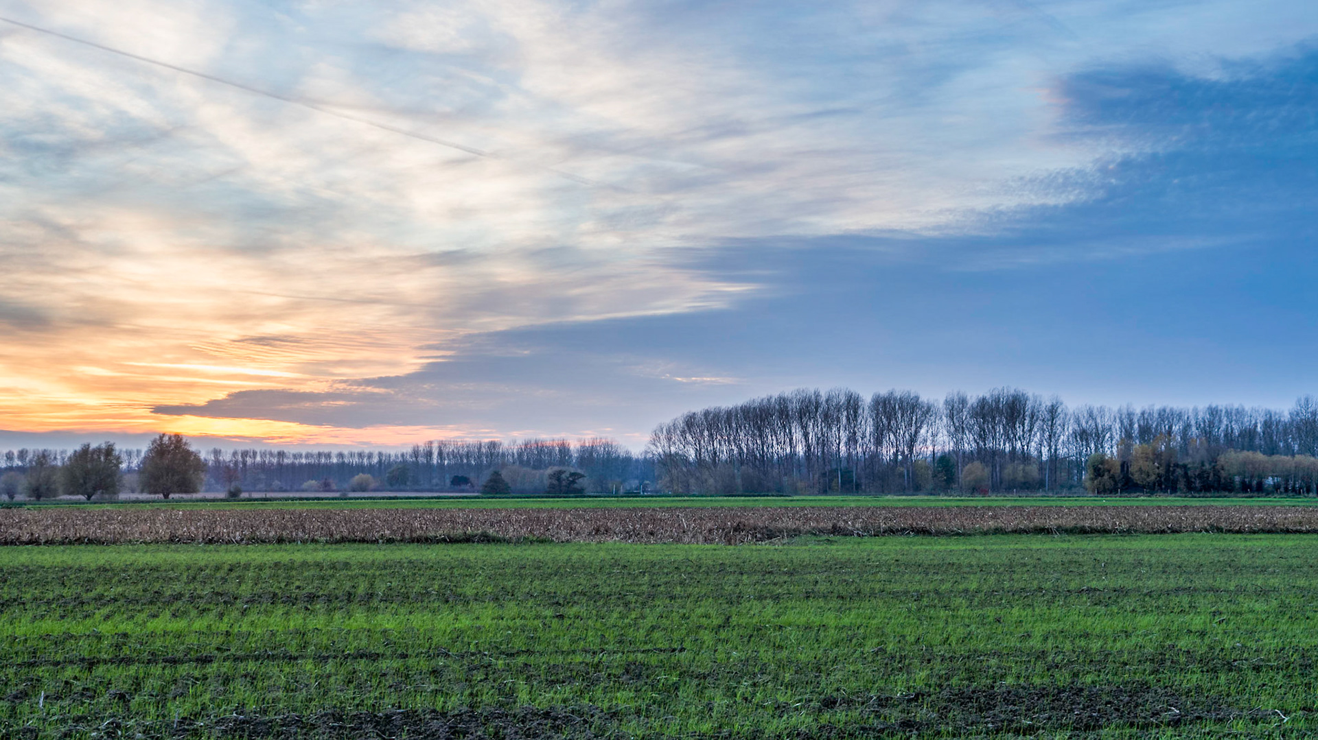 Sunset - Orange and Blue