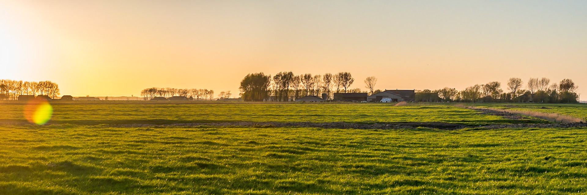 Low Light, Still Bright