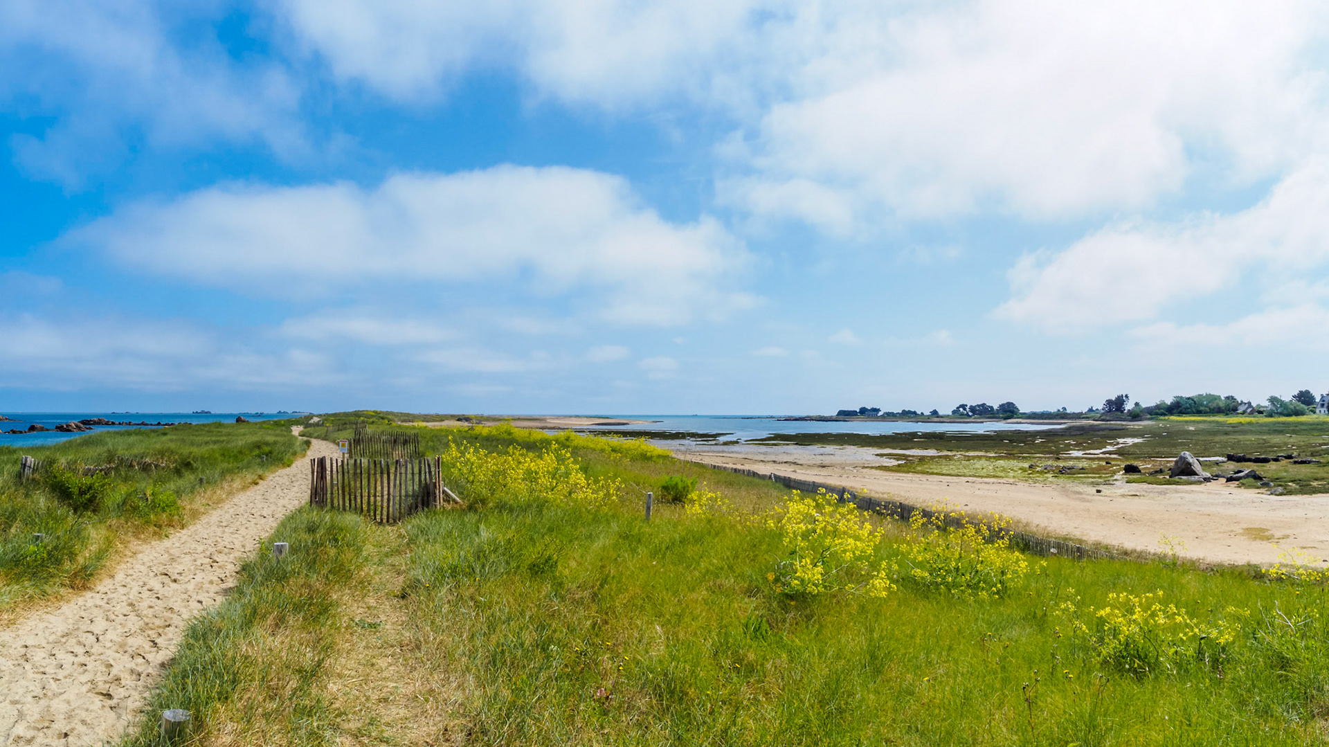 Sillon De Talbert II